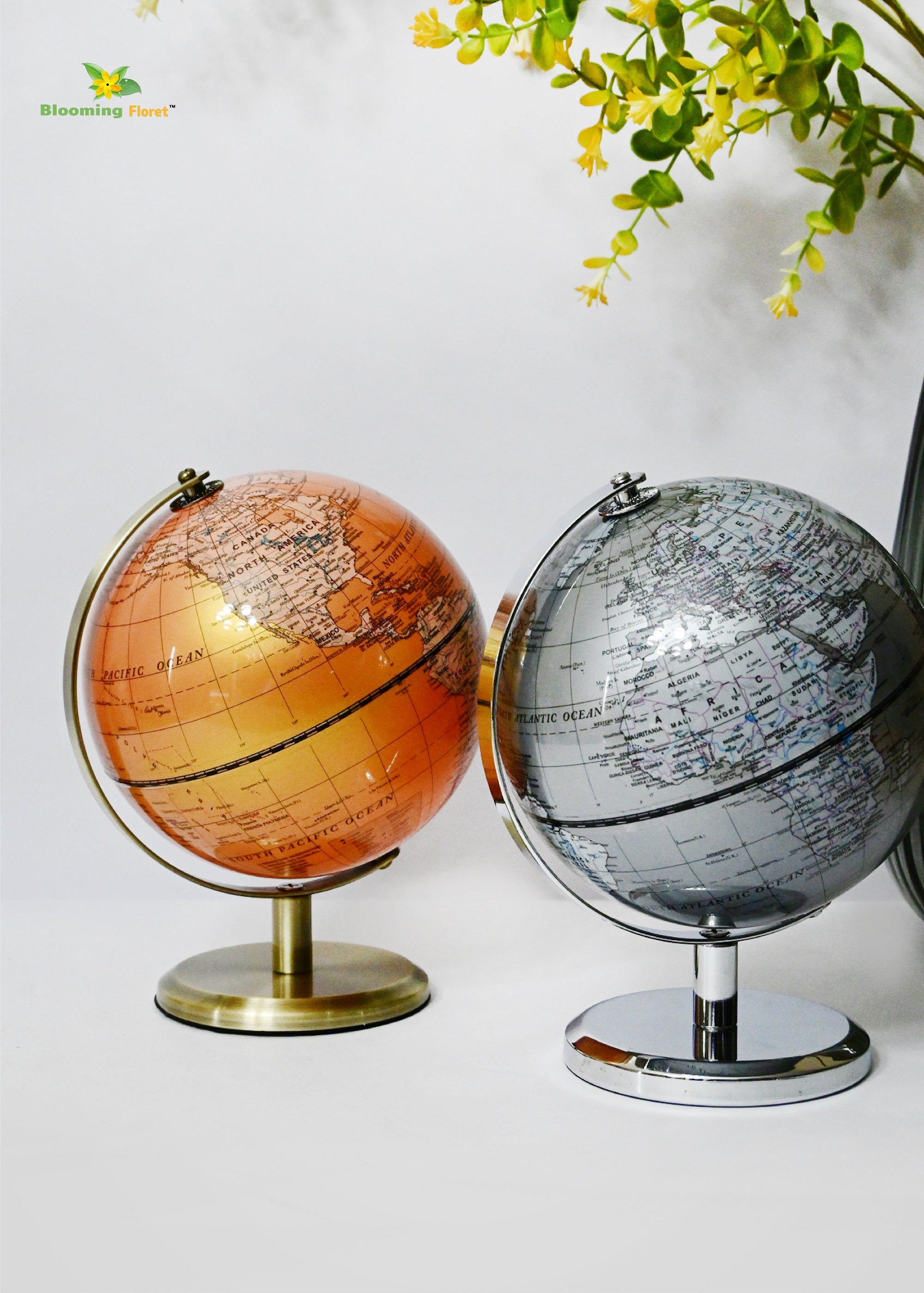 Globe on Metal Stand