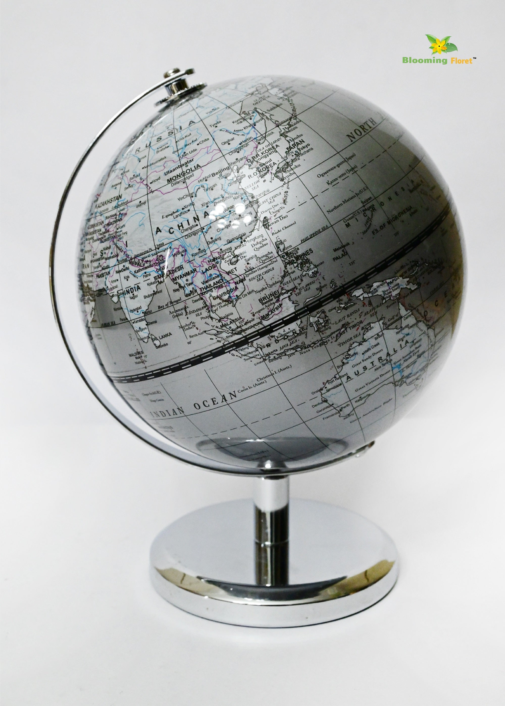 Globe on Metal Stand