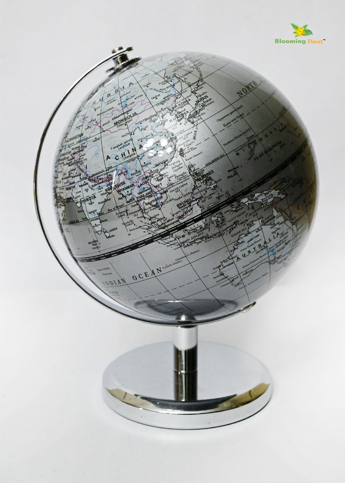 Silver Globe | Plain Silver Stand | 22 cm