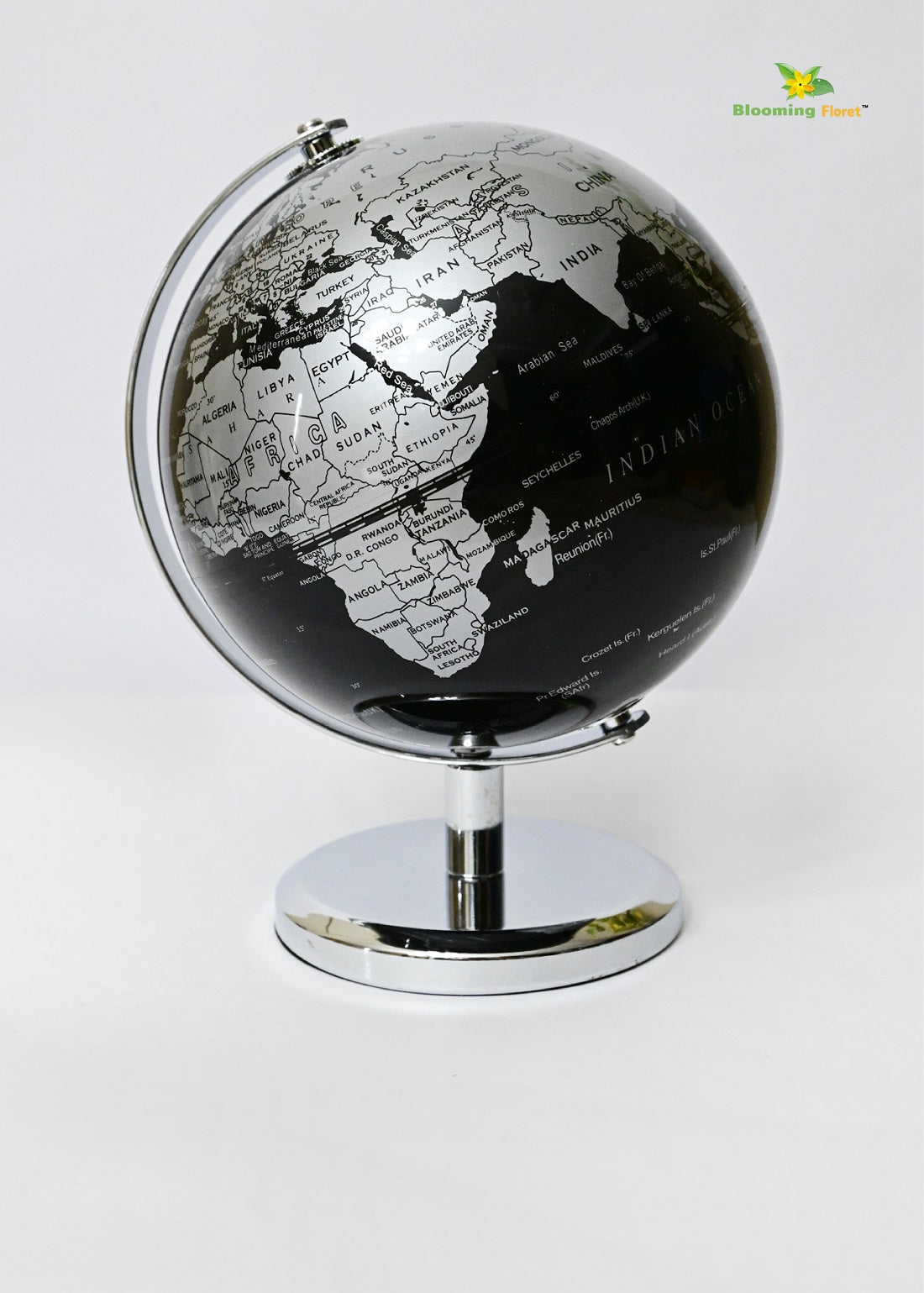 Globe on Metal Stand - Silver+Black