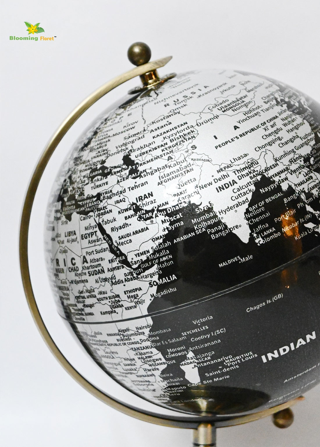 Globe on Metal Stand - Silver