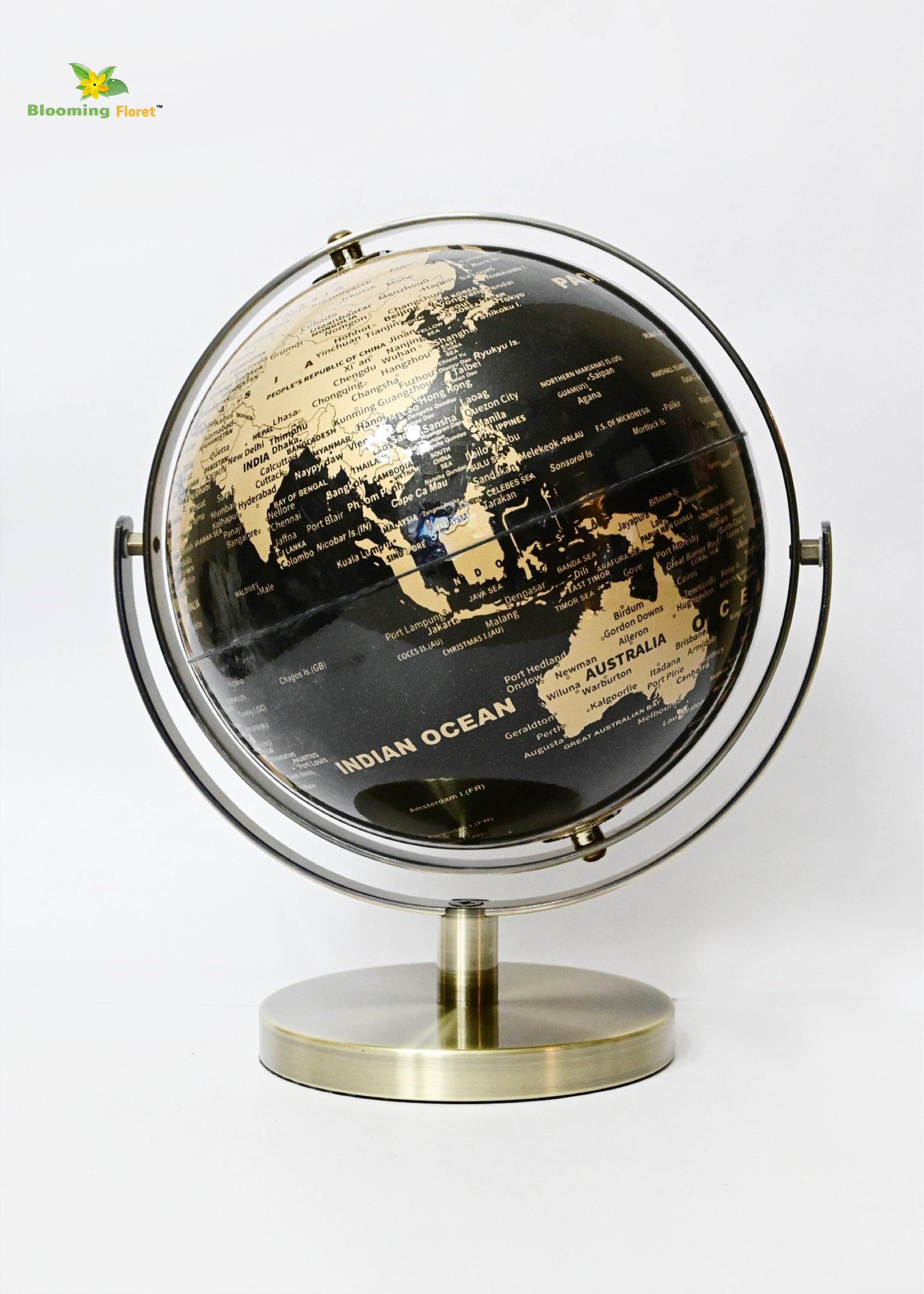 Globe on Metal Stand