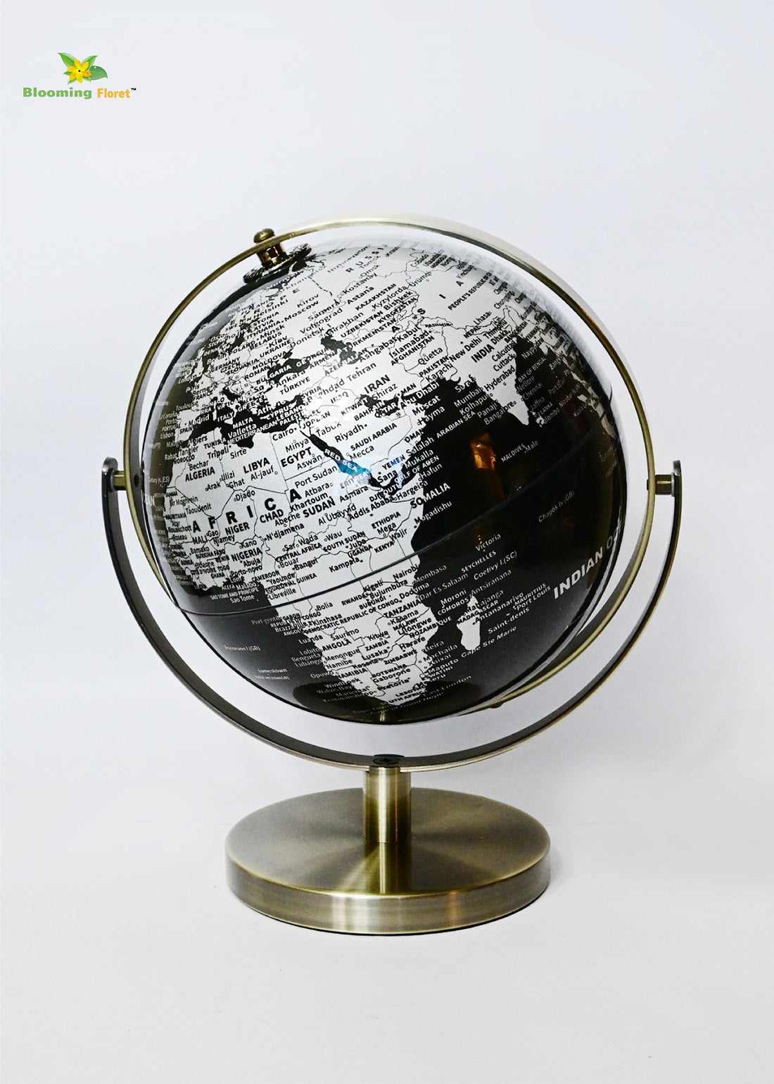Silver Globe | Plain Metal Stand | 28 cm