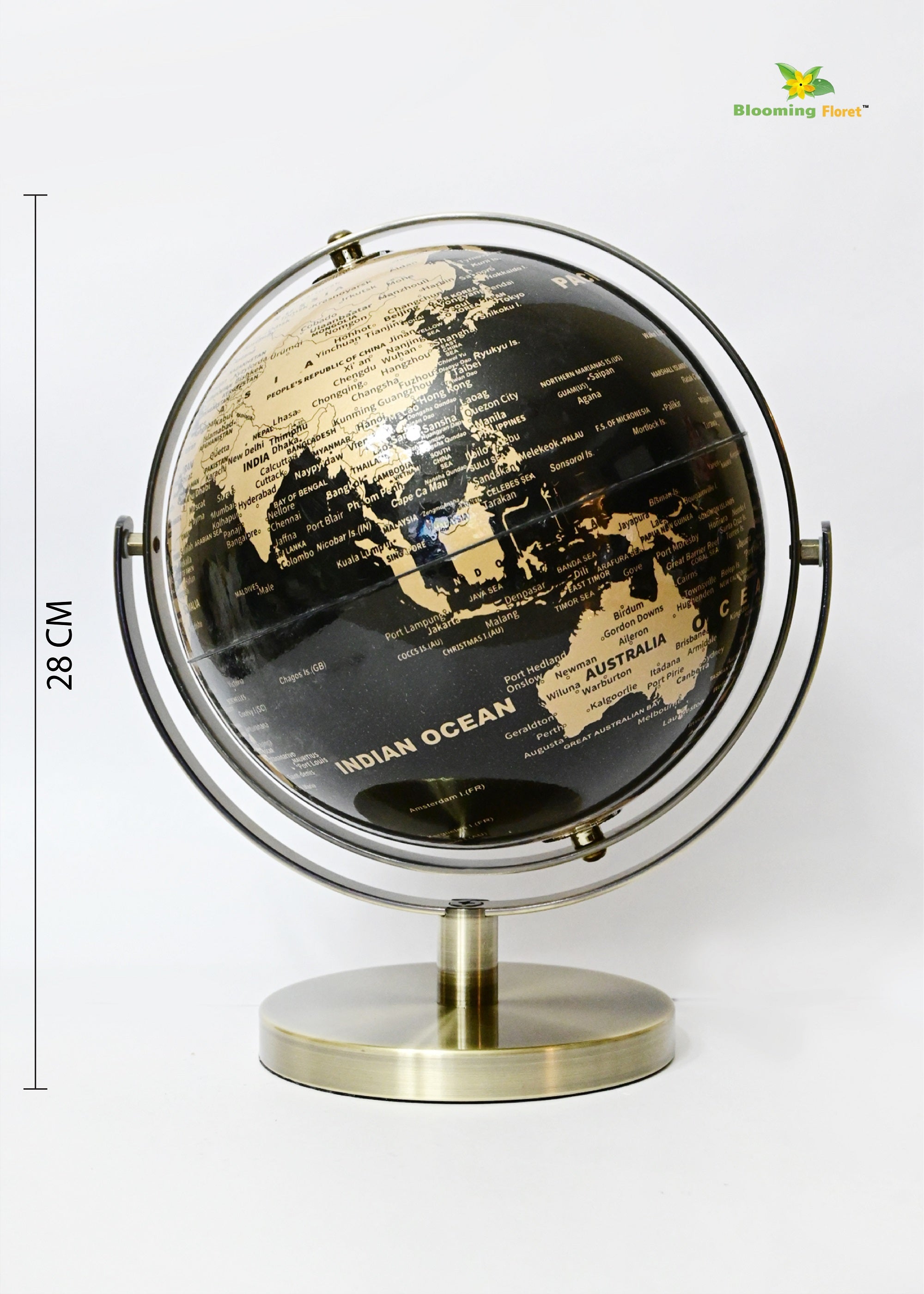 Globe on Metal Stand