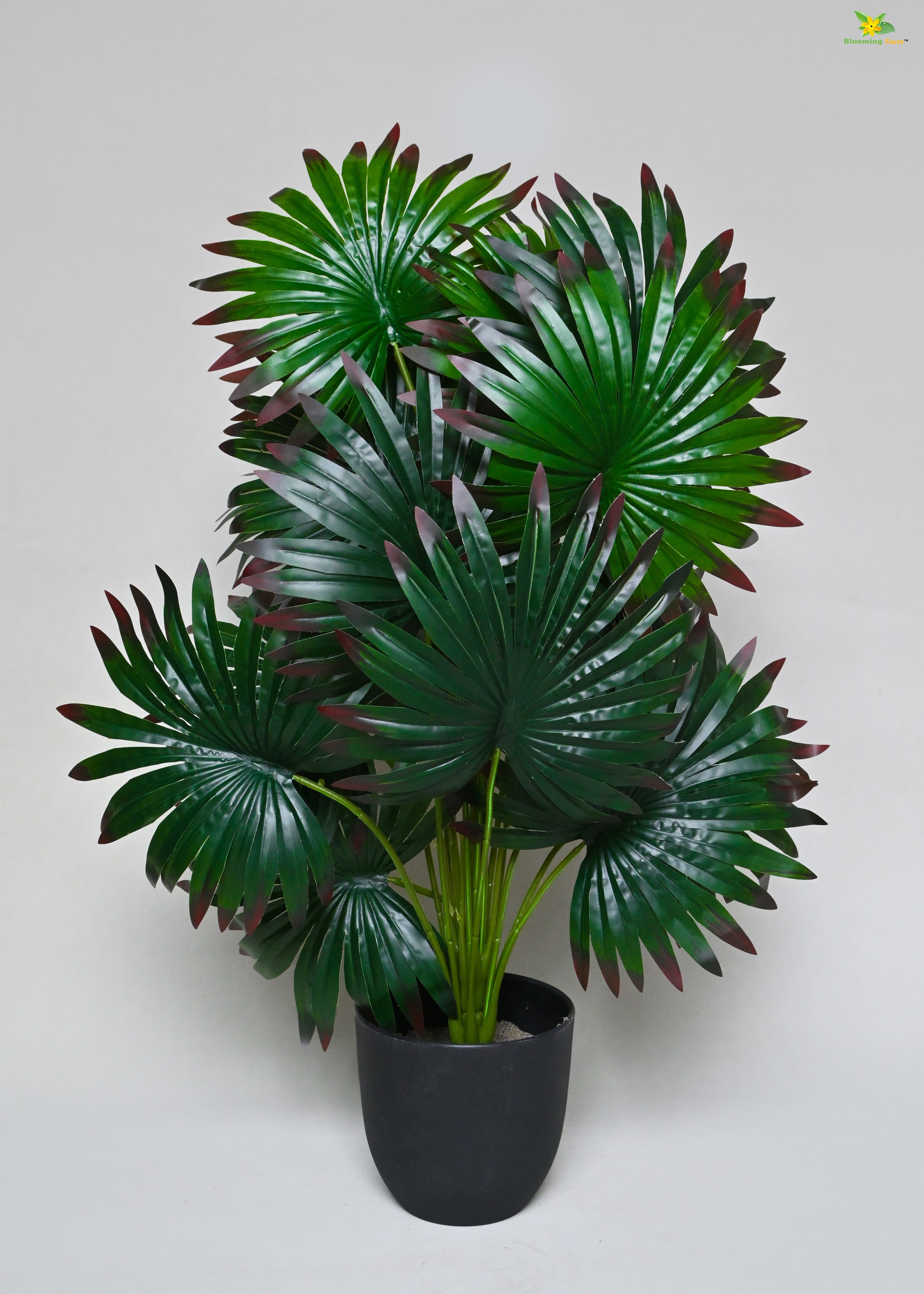 Artificial Fan Palm Plant for Decor | 18 Leaves with Basic Pot | 78.7 cm