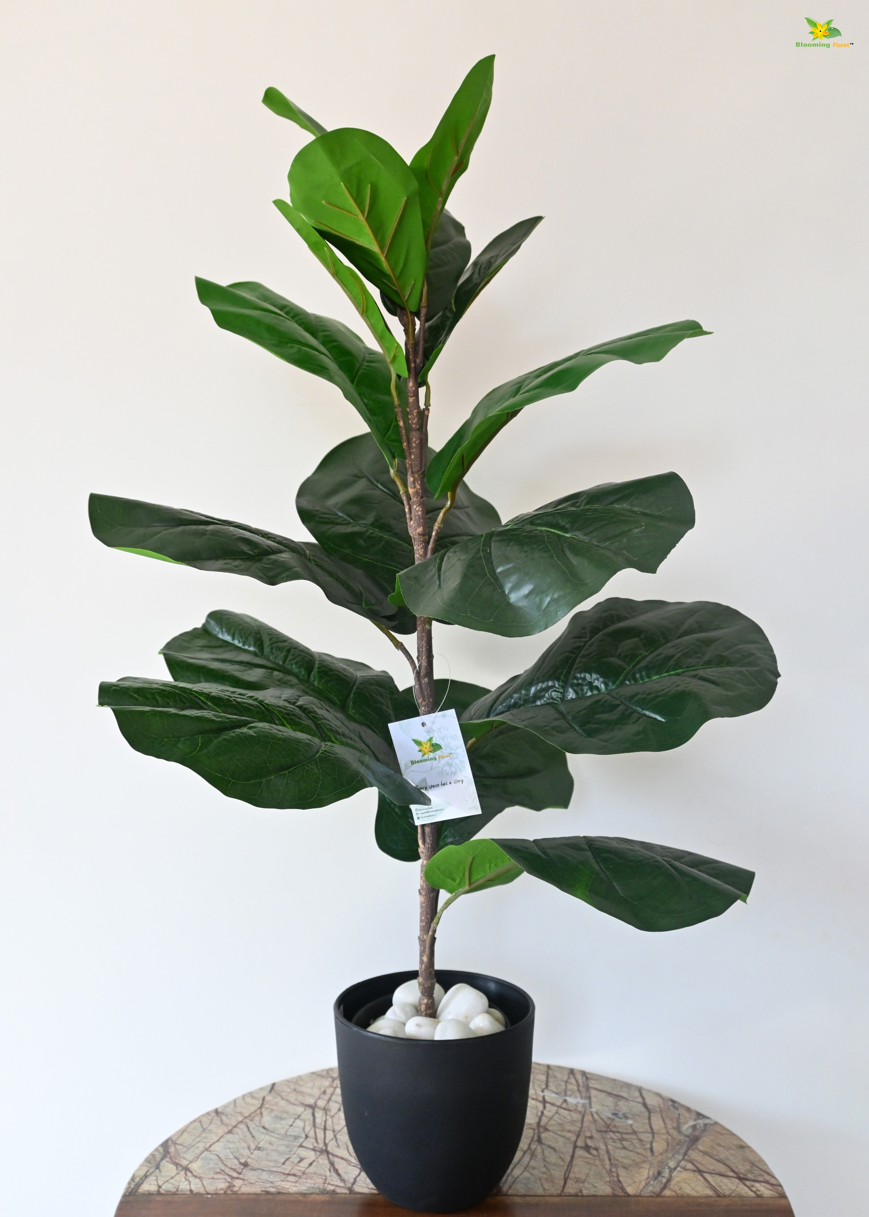 Artificial Fiddle-Leaf Fig Plant for Decor 16 Leaves with Basic Pot | 66 cm