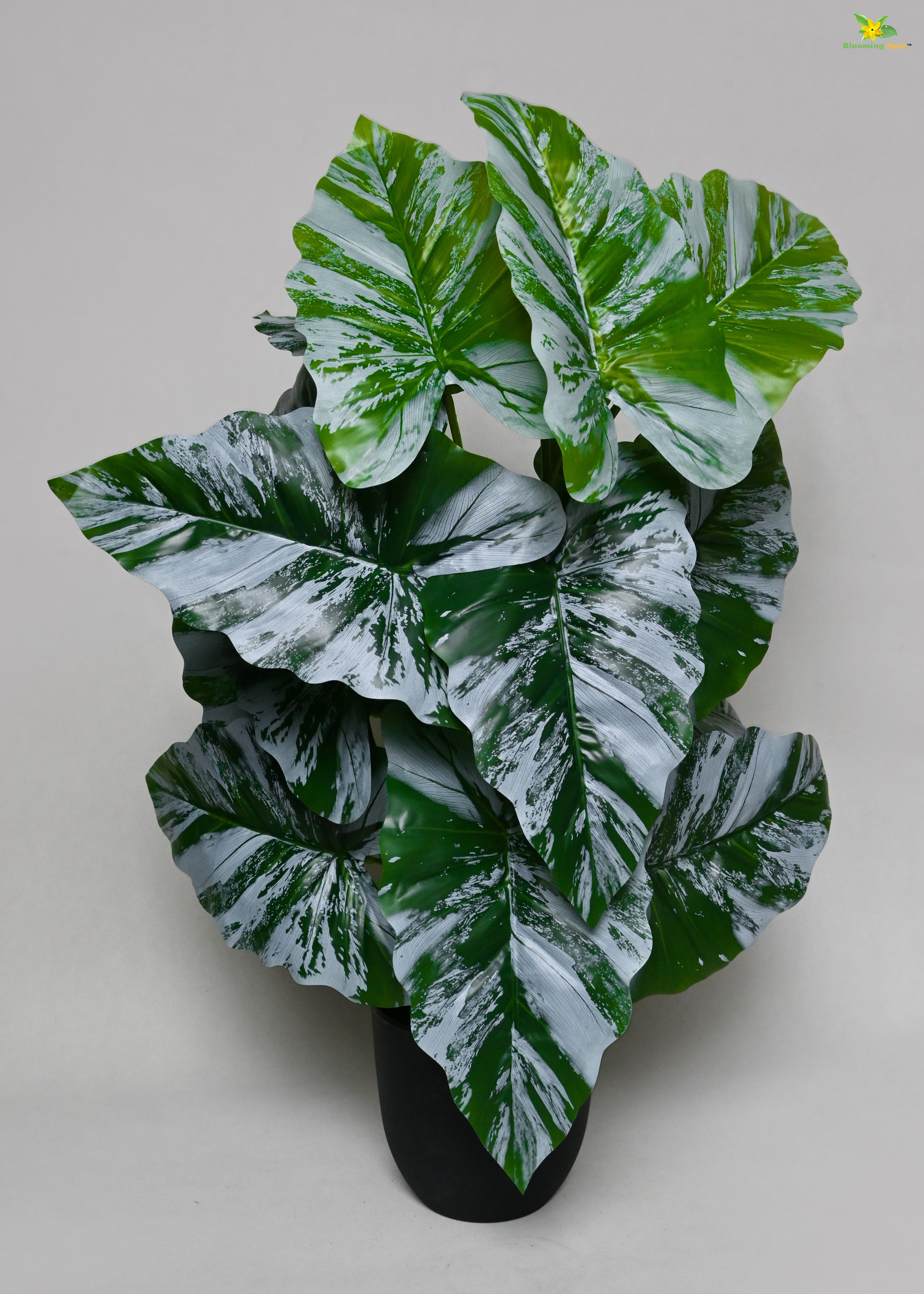 Artificial Tropical Caladium Plant for Decor | 18 Leaves with Basic Pot | 78.7 cm