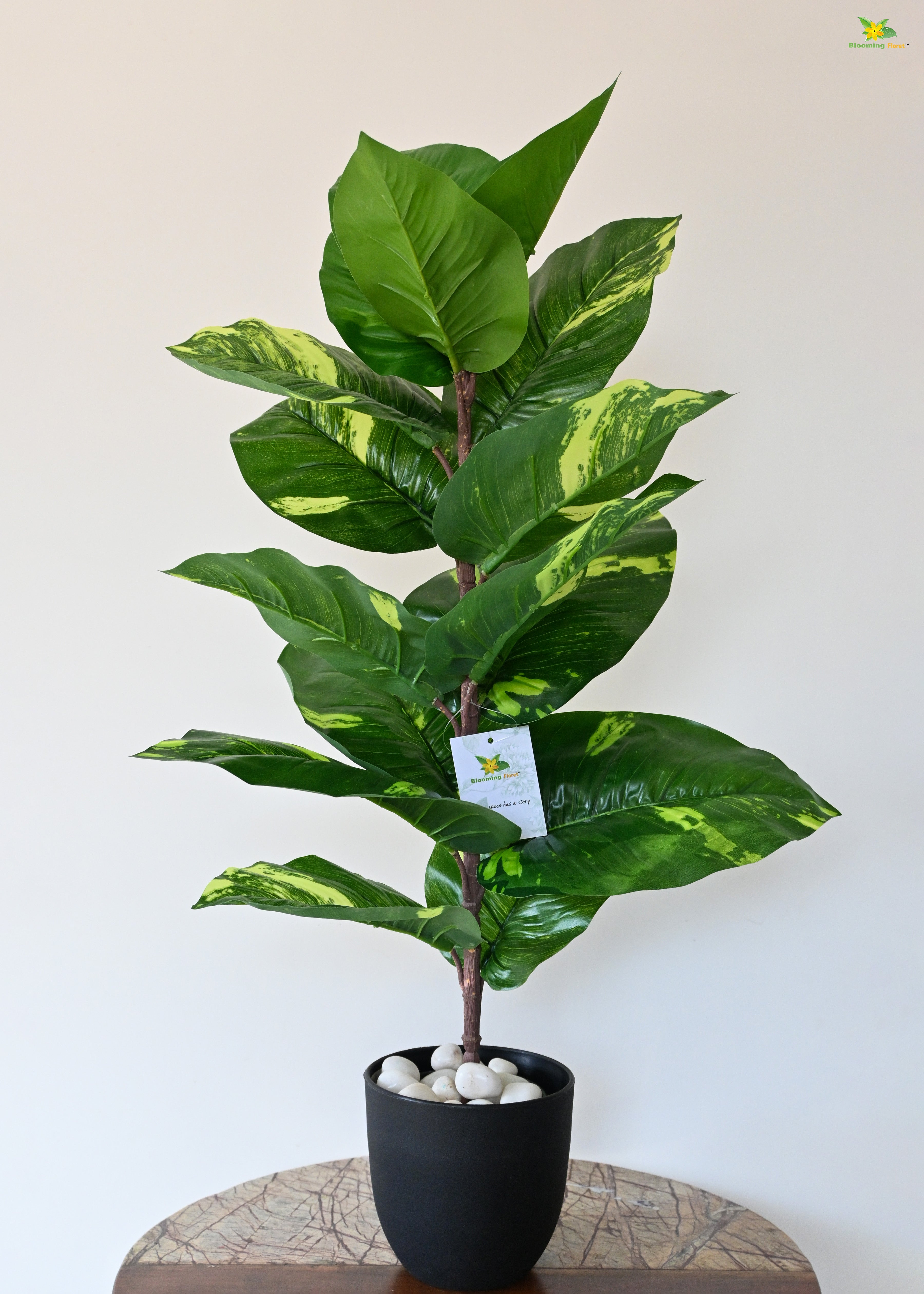 Artificial Dieffenbachia Plant for Decor 16 Leaves with Basic Pot | 66 cm