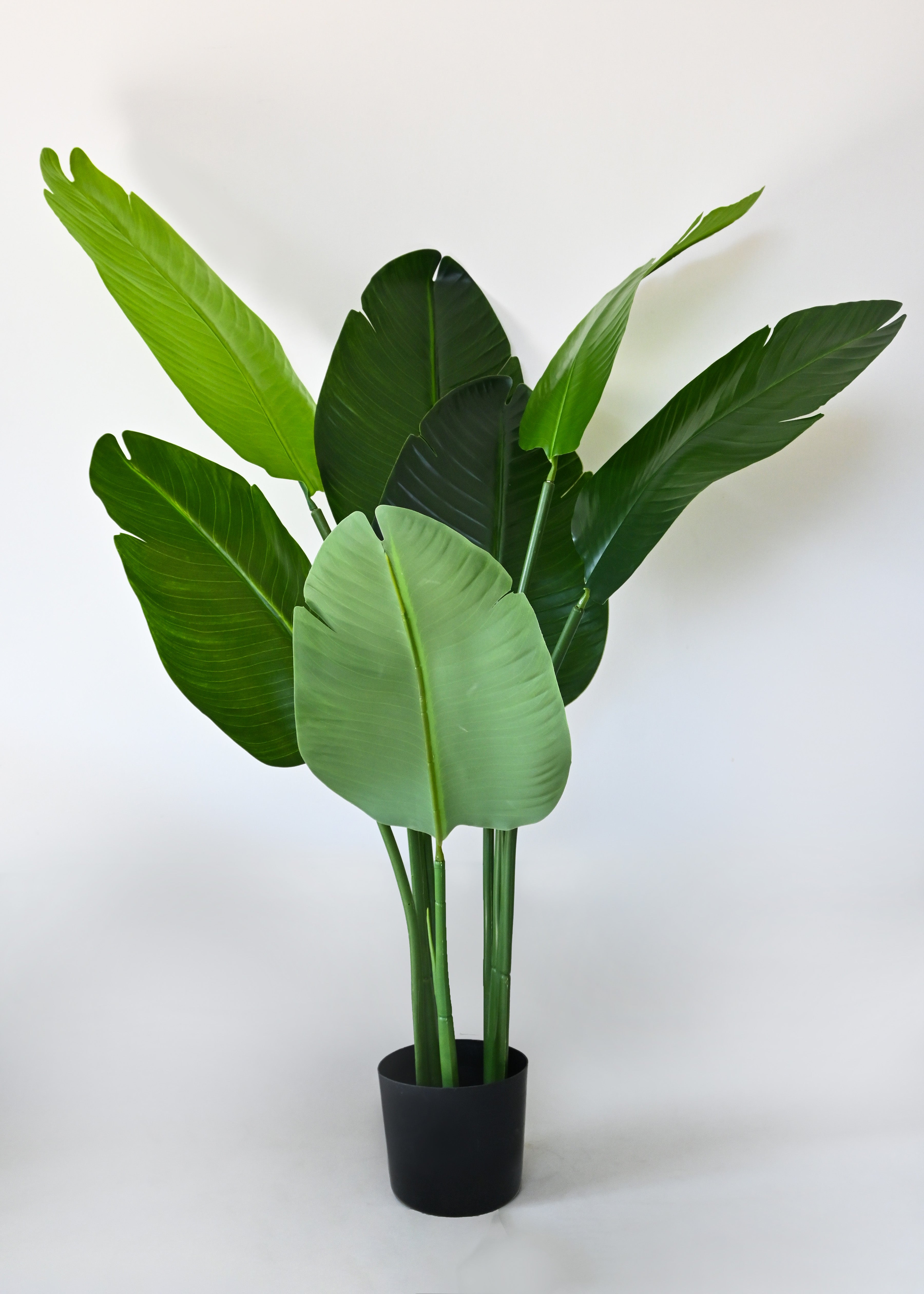 Artificial Banana Plant for Decor 3 Stem 7 Leaves with Basic Pot | 108 cm