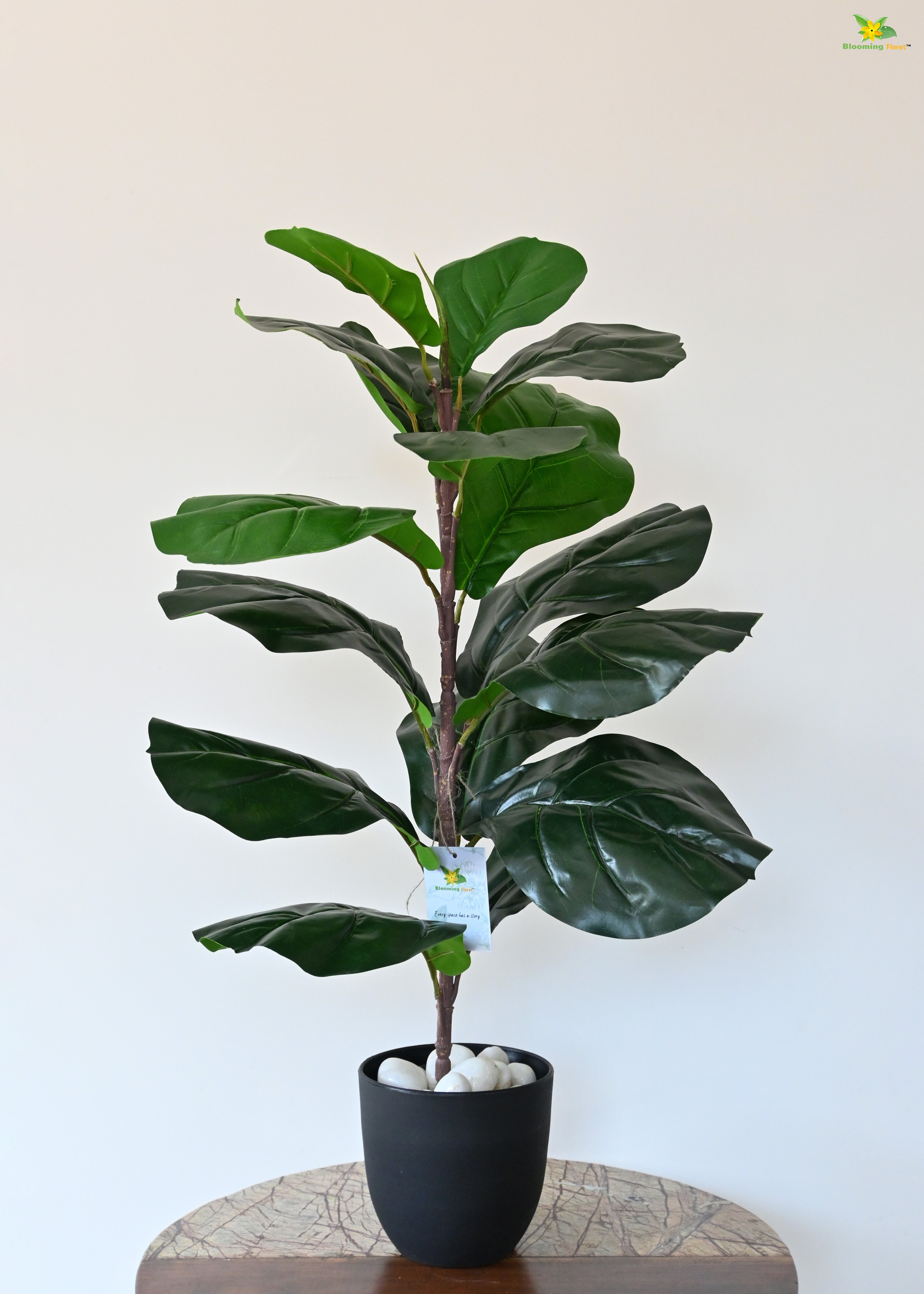 Artificial Fiddle-Leaf Fig Plant for Decor 16 Leaves with Basic Pot | 66 cm