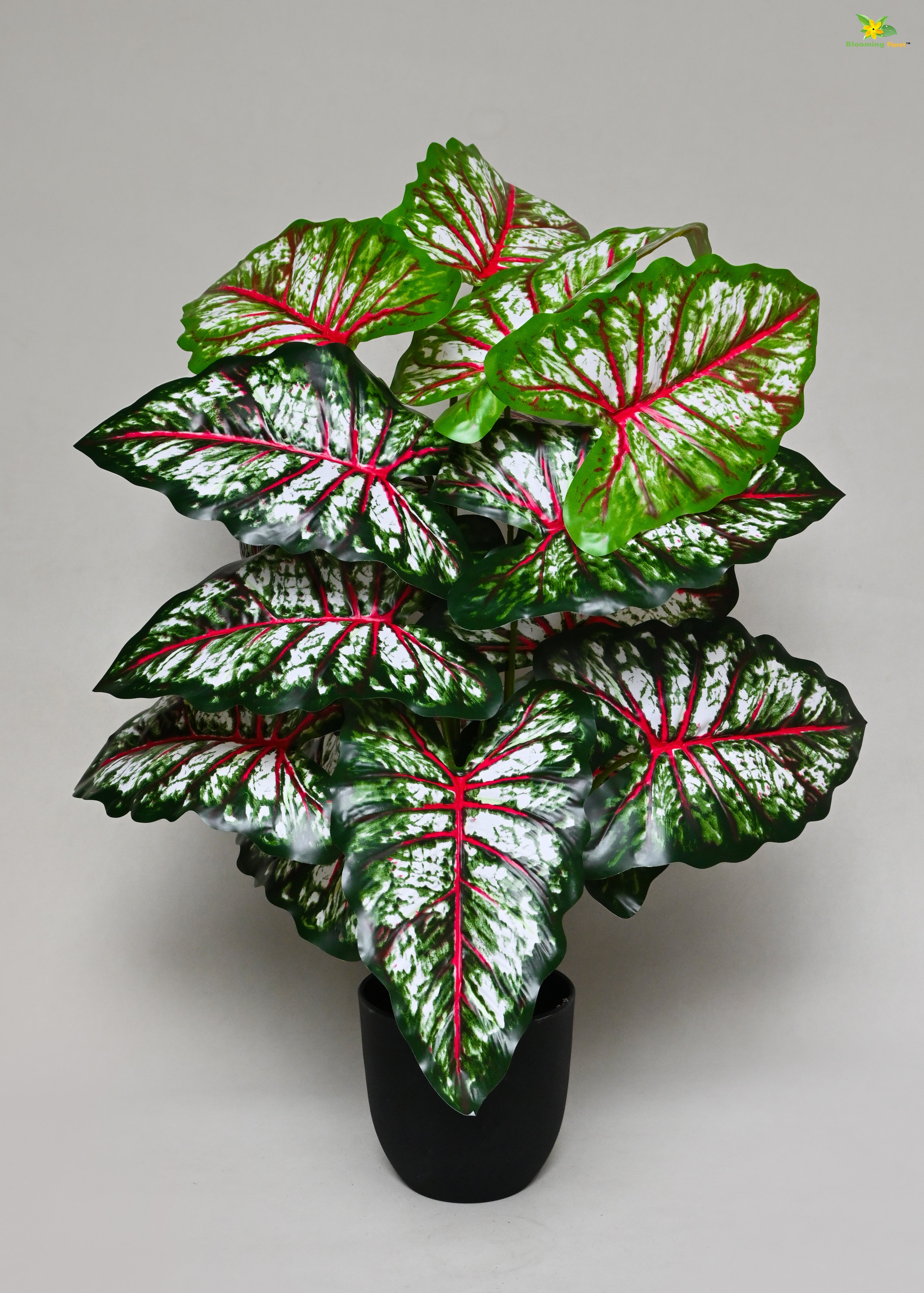 Artificial Tropical Caladium Plant for Decor | 18 Leaves with Basic Pot | 78.7 cm