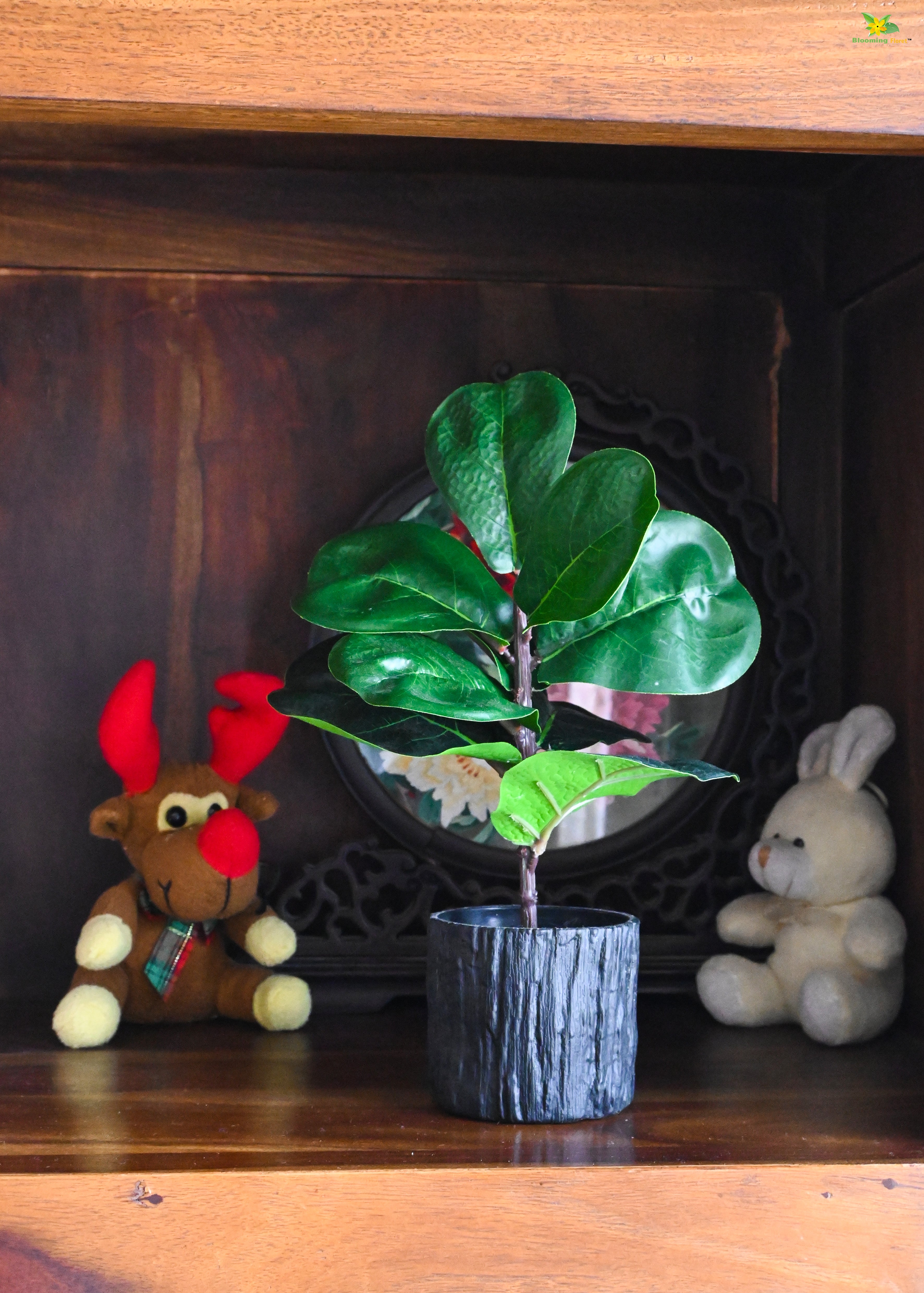 Artificial Fiddle-Leaf Fig Plant for Decor | 9 Leaves with Basic Pot | 27.9 cm