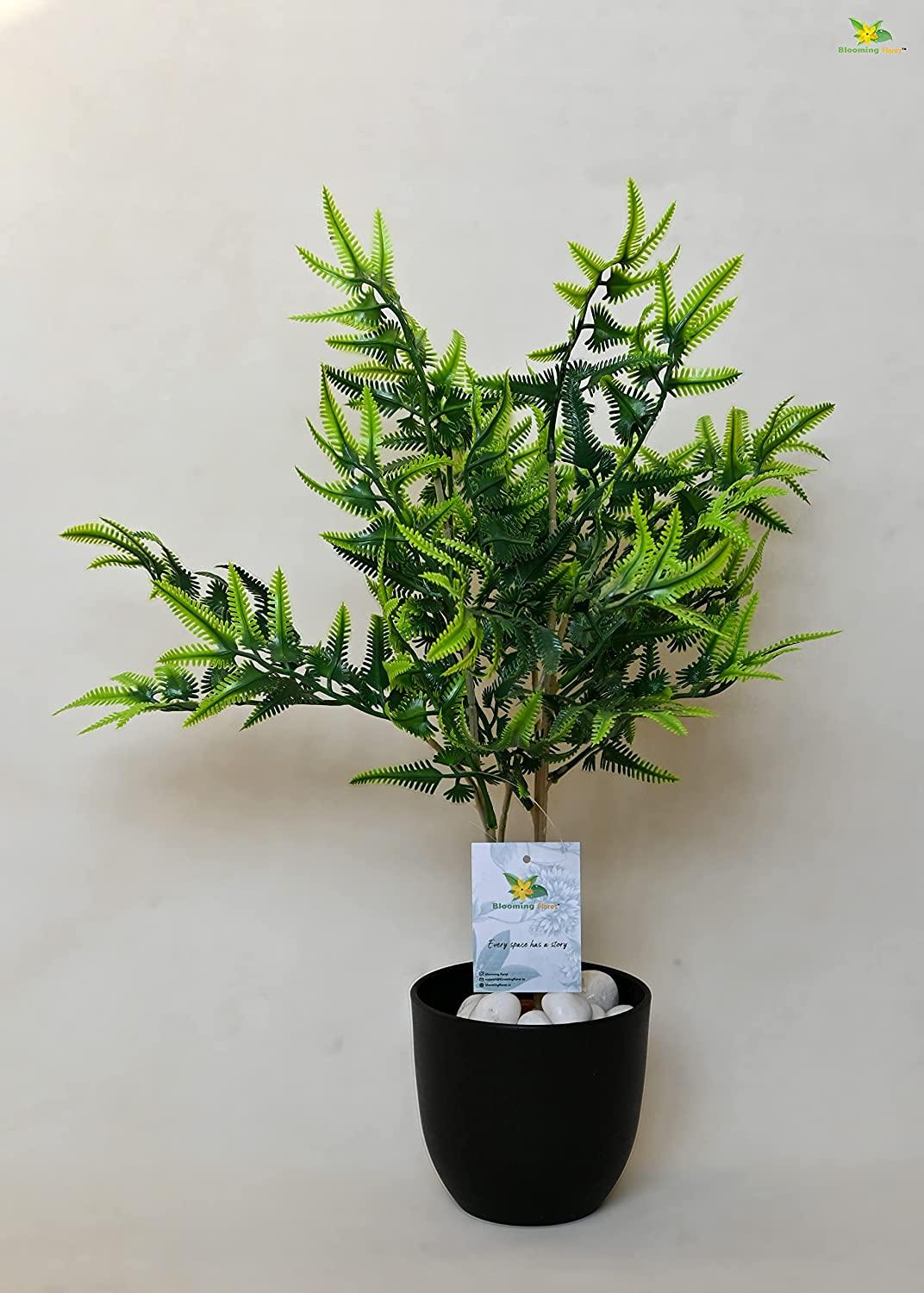 Artificial Silverback Fern Plant for Decor with Basic Pot | 45.7 cm