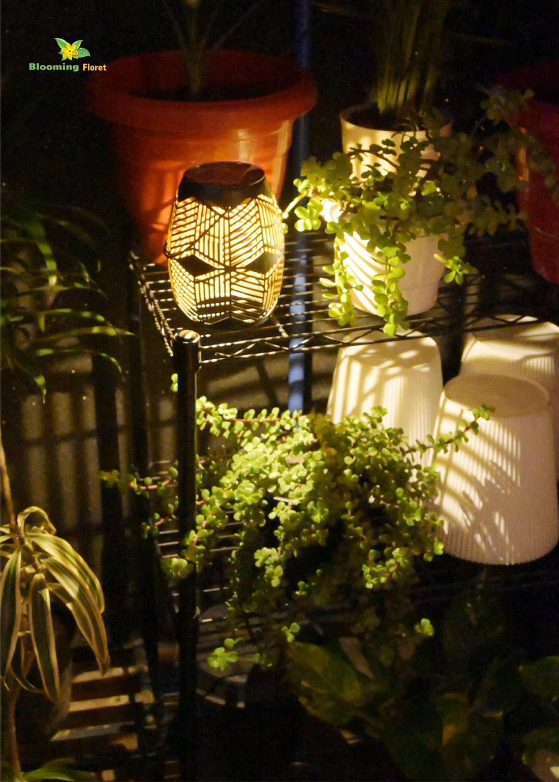 Premium Solar Lantern | 15 cm