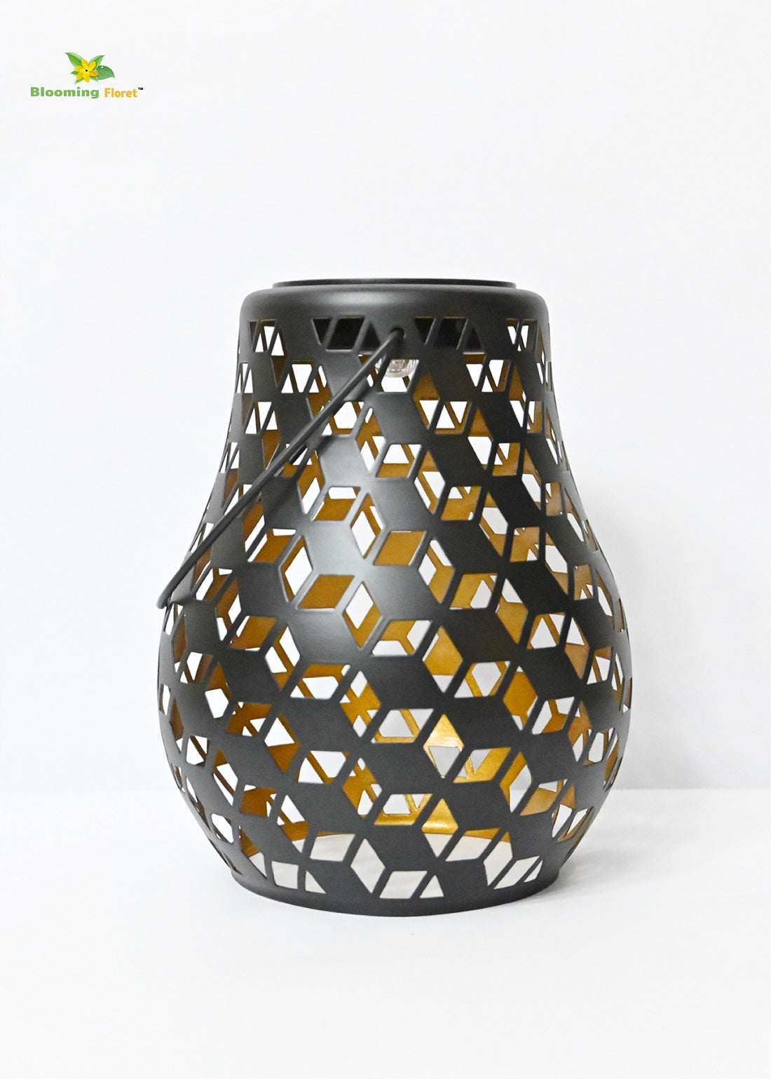 Premium Solar Lantern | 20 cm