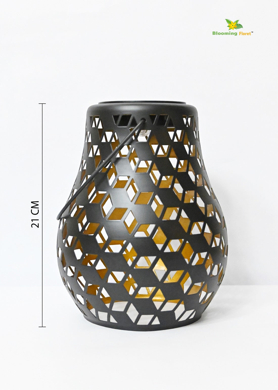 Premium Solar Lantern | 20 cm