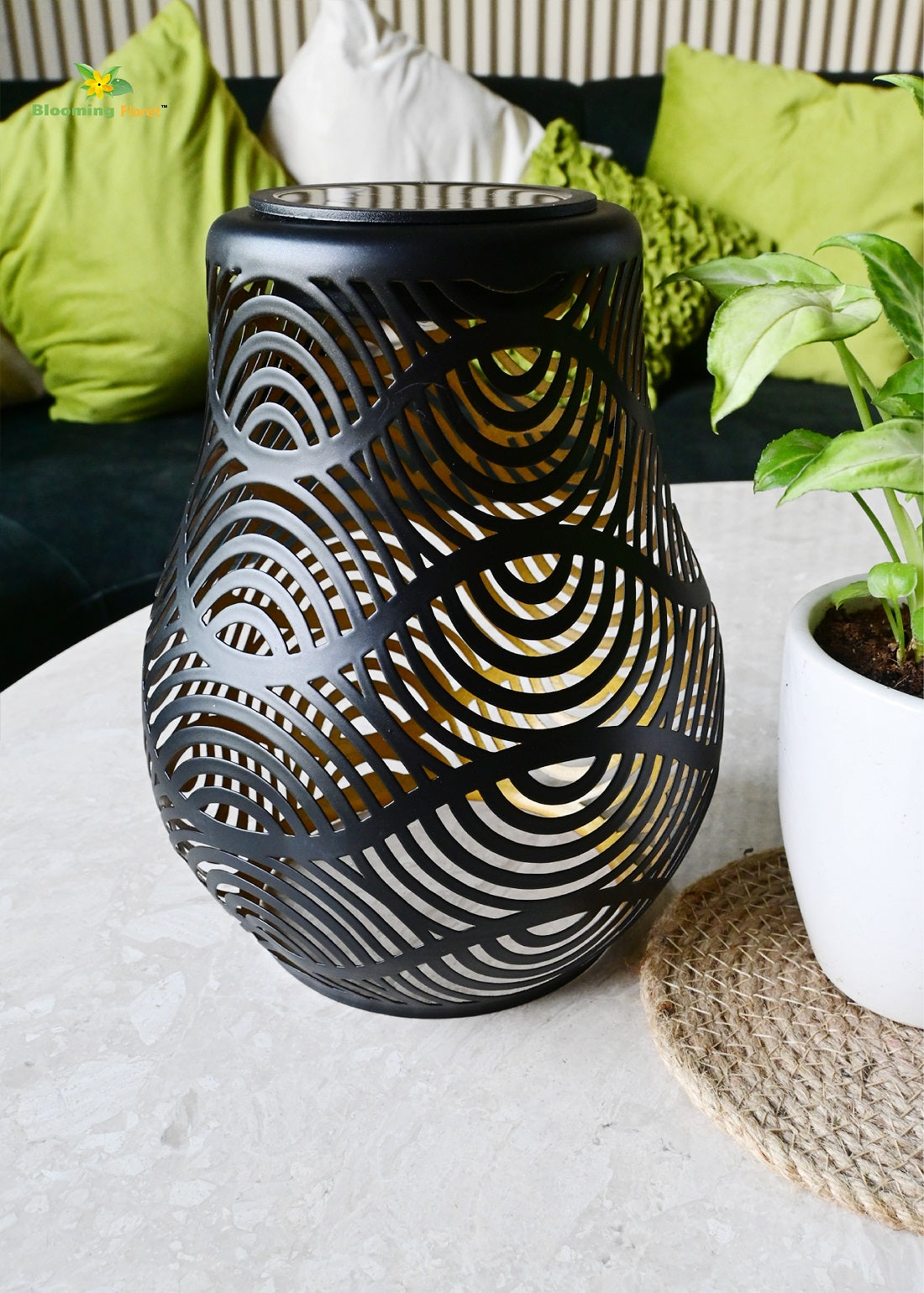 Premium Solar Lantern | 20 cm