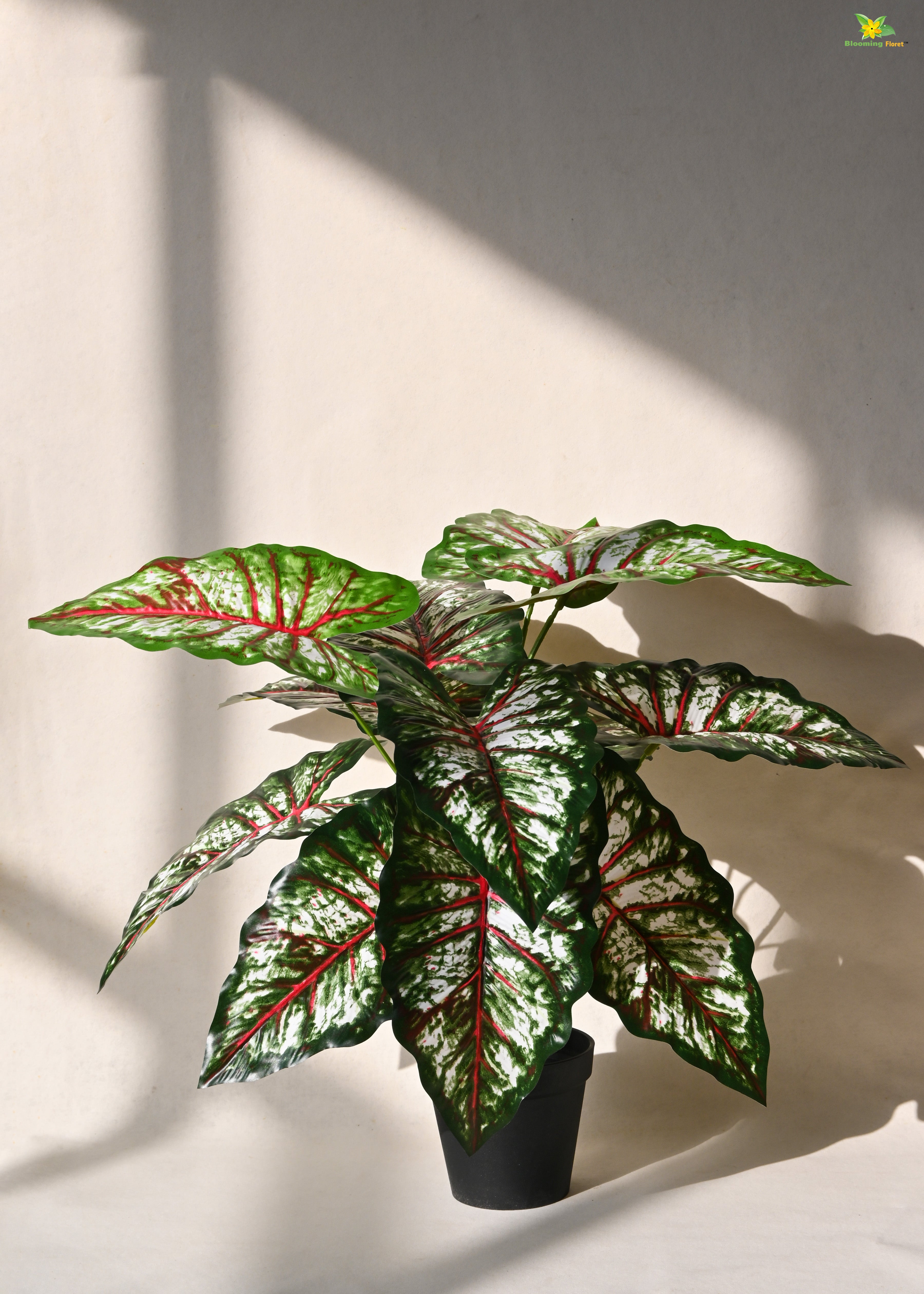 Artificial Tropical Caladium Plant for Decor | 12 Leaves with Basic Pot | 65 cm