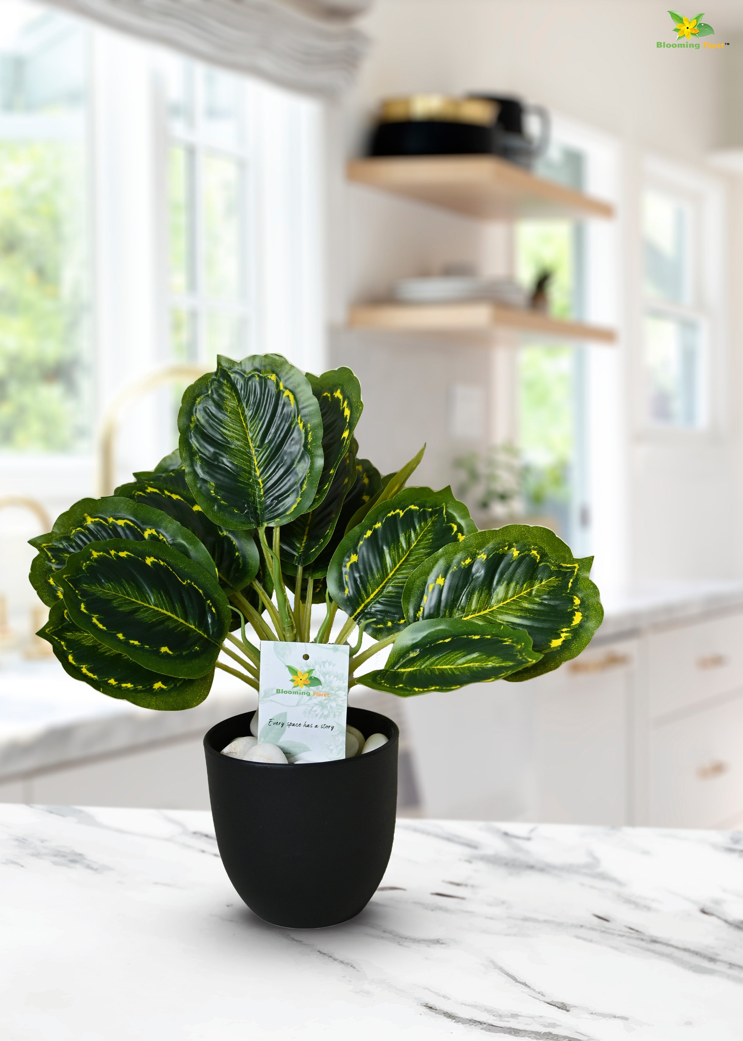 Artificial Calathea Roseopicta Plant For Decor | 18 Leaves with Basic Pot | 33 cm