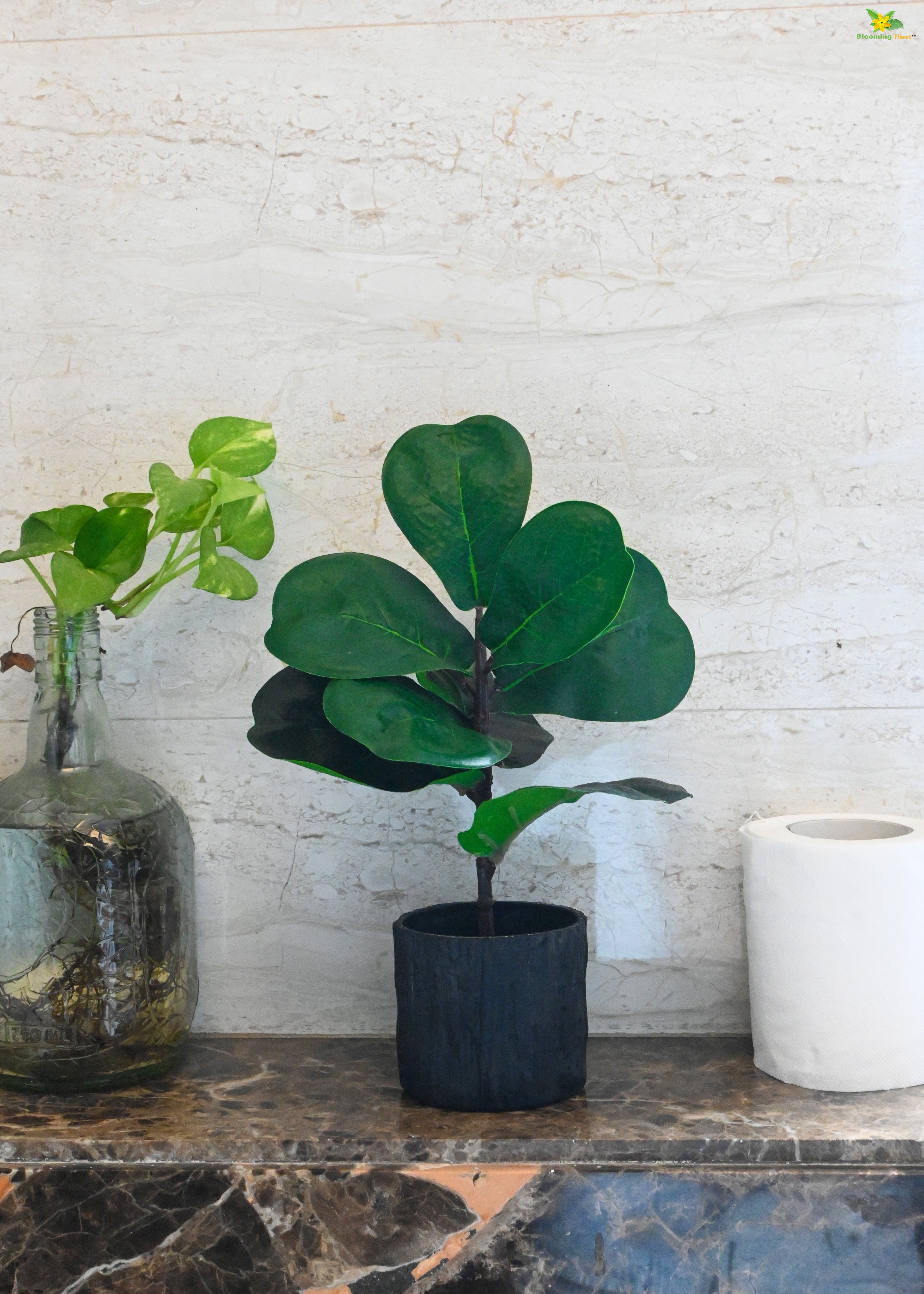 Artificial Fiddle-Leaf Fig Plant for Decor | 9 Leaves with Basic Pot | 27.9 cm