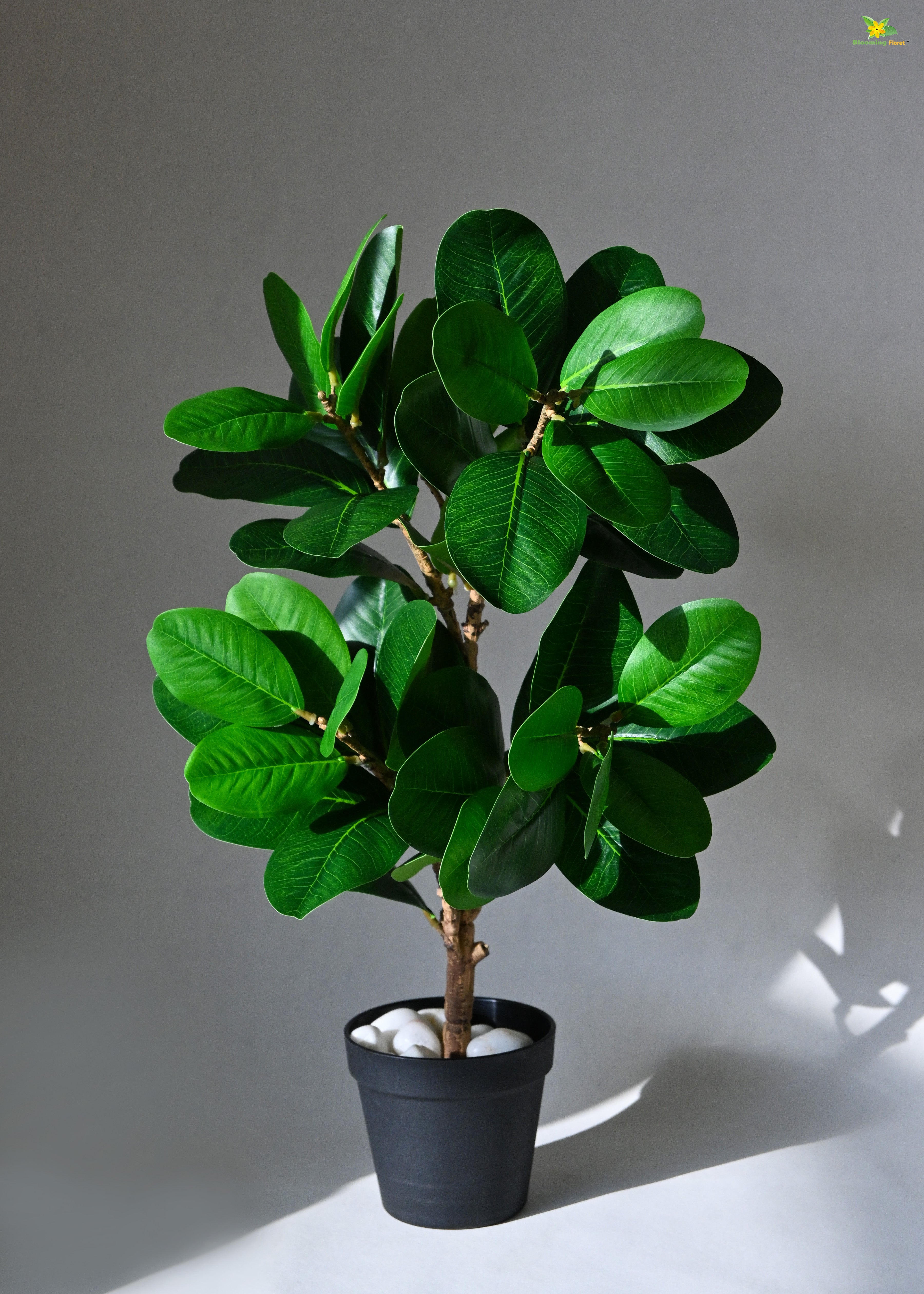 Artificial Fig Plant for Decor | 52 Leaves with Basic Pot | 68.5 cm