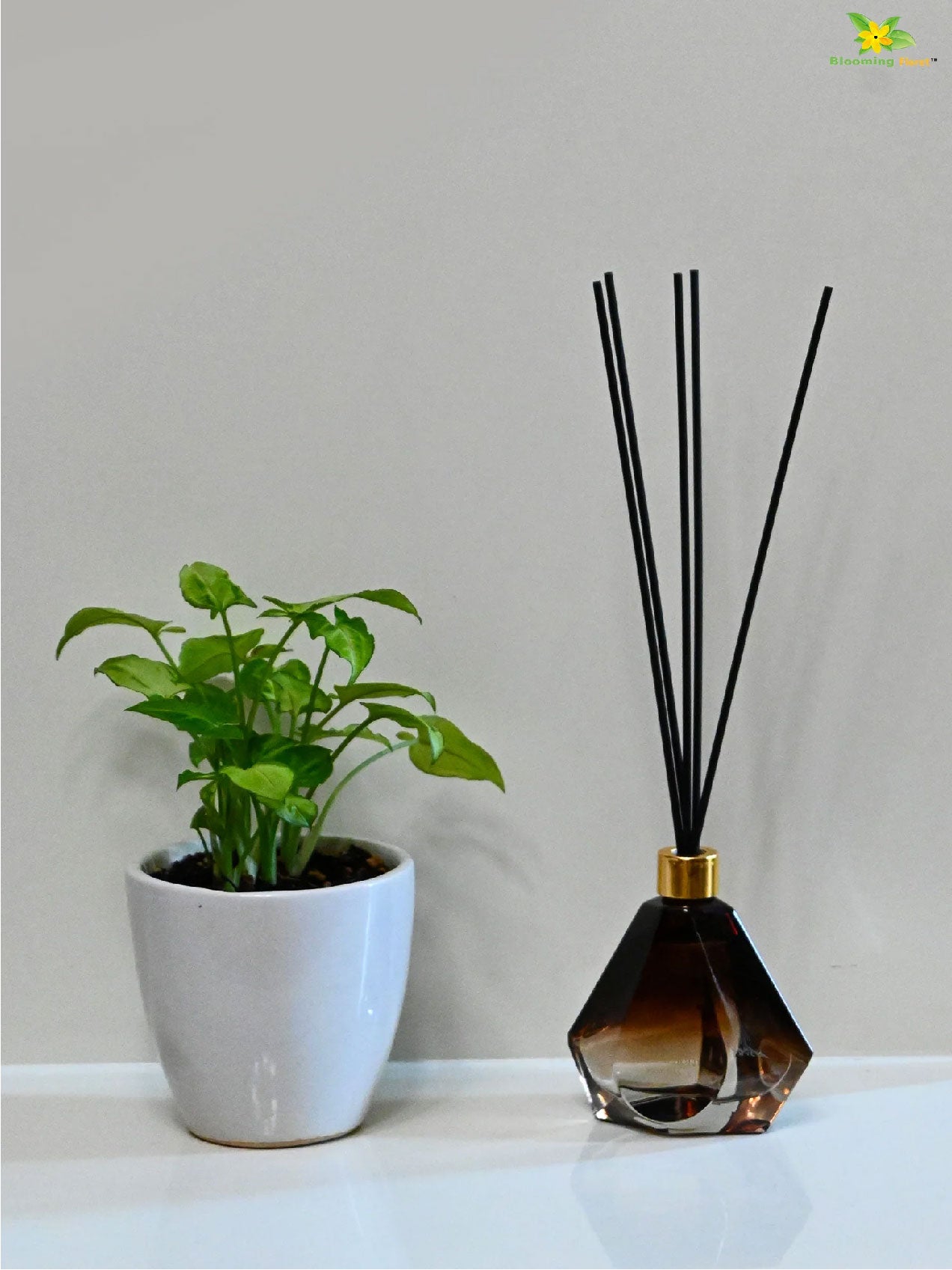 Mystic Aura Reed Diffuser