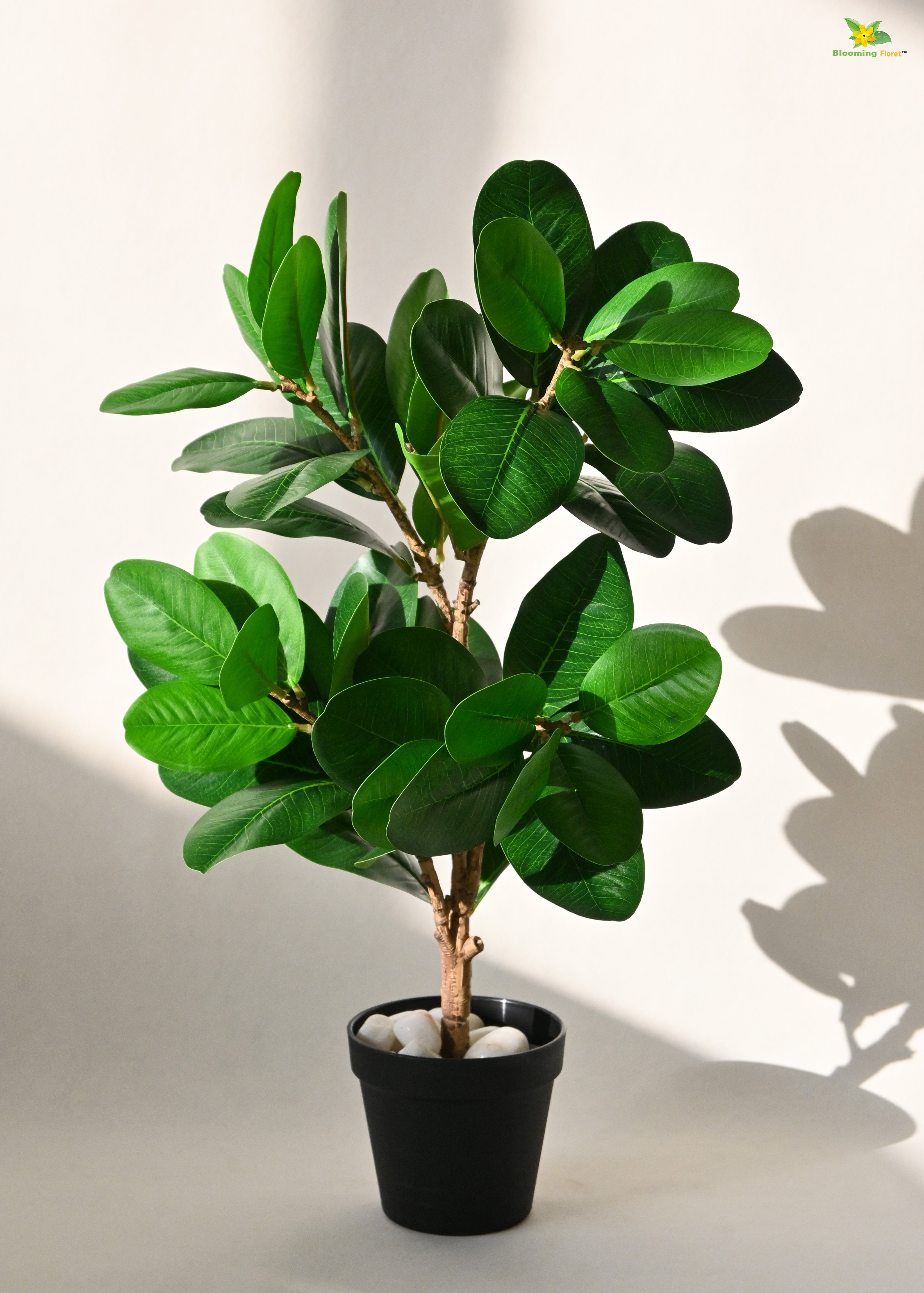 Artificial Fig Plant for Decor | 52 Leaves with Basic Pot | 68.5 cm