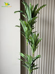 Premium Artificial Dracaena Plant | 140 cm | Green Stem Design | With Basic Pot