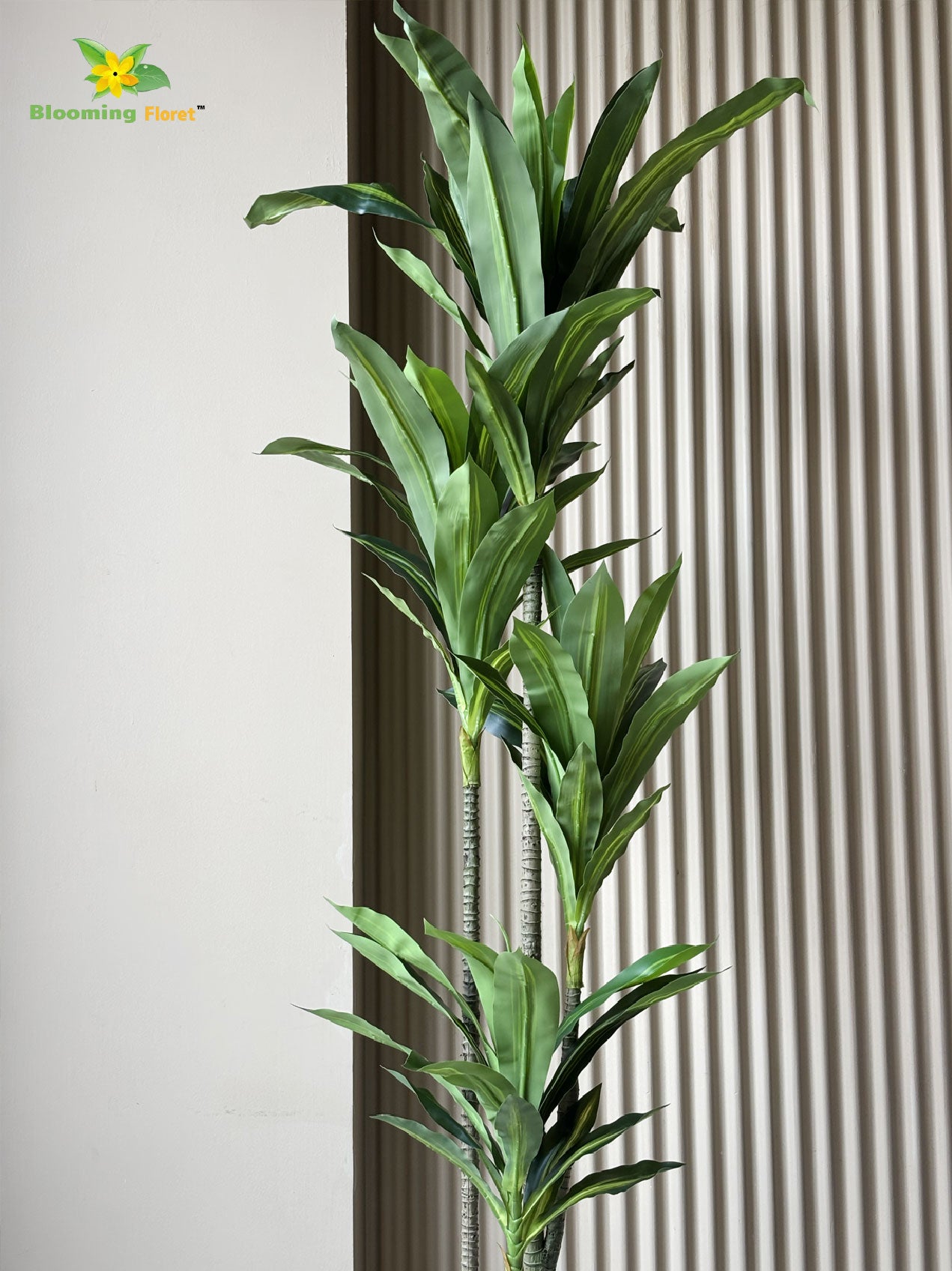 Premium Artificial Dracaena Plant | 140 cm | Green Stem Design | With Basic Pot