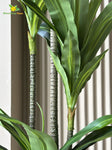 Premium Artificial Dracaena Plant | 140 cm | Green Stem Design | With Basic Pot