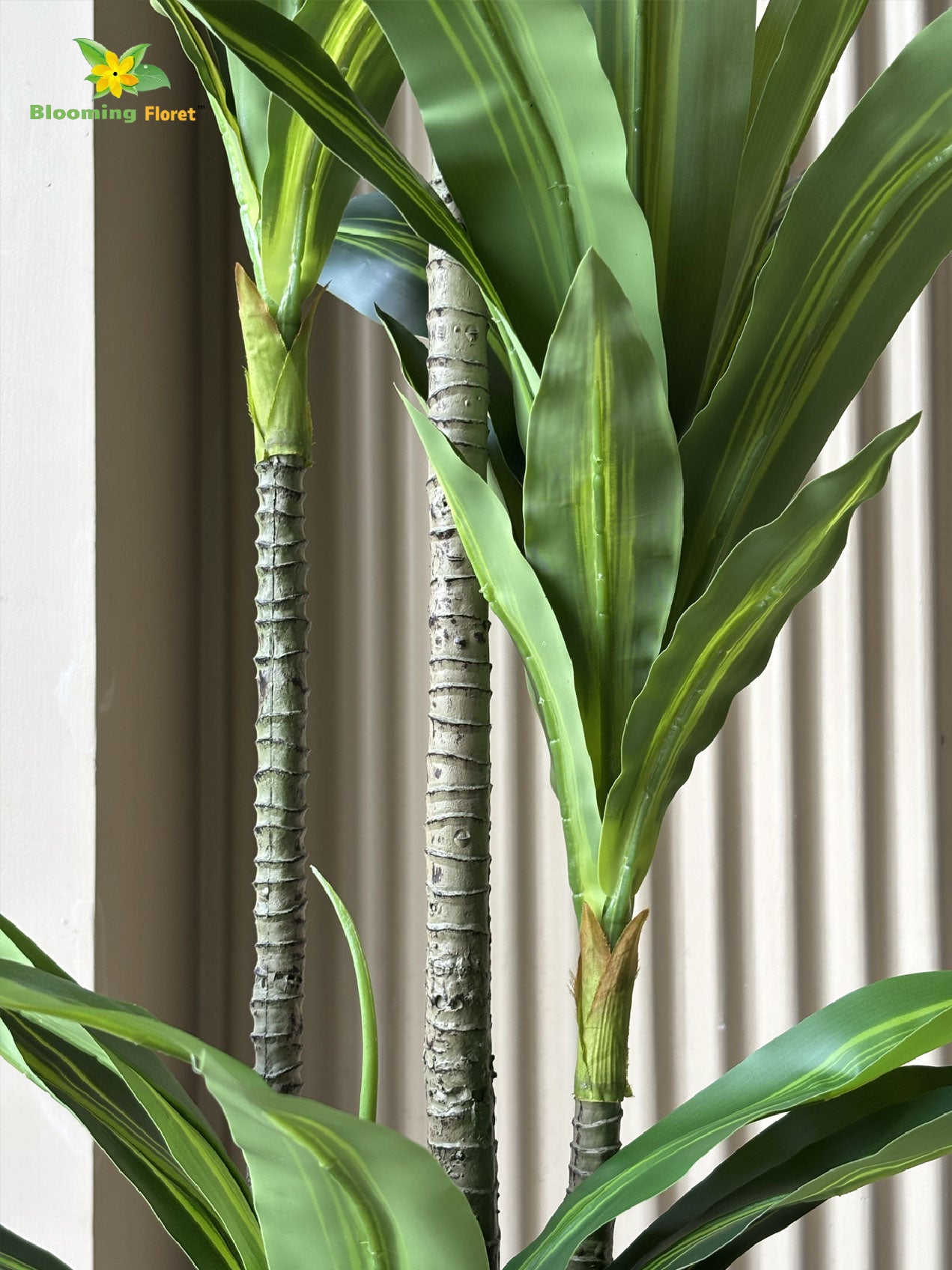 Premium Artificial Dracaena Plant | 140 cm | Green Stem Design | With Basic Pot