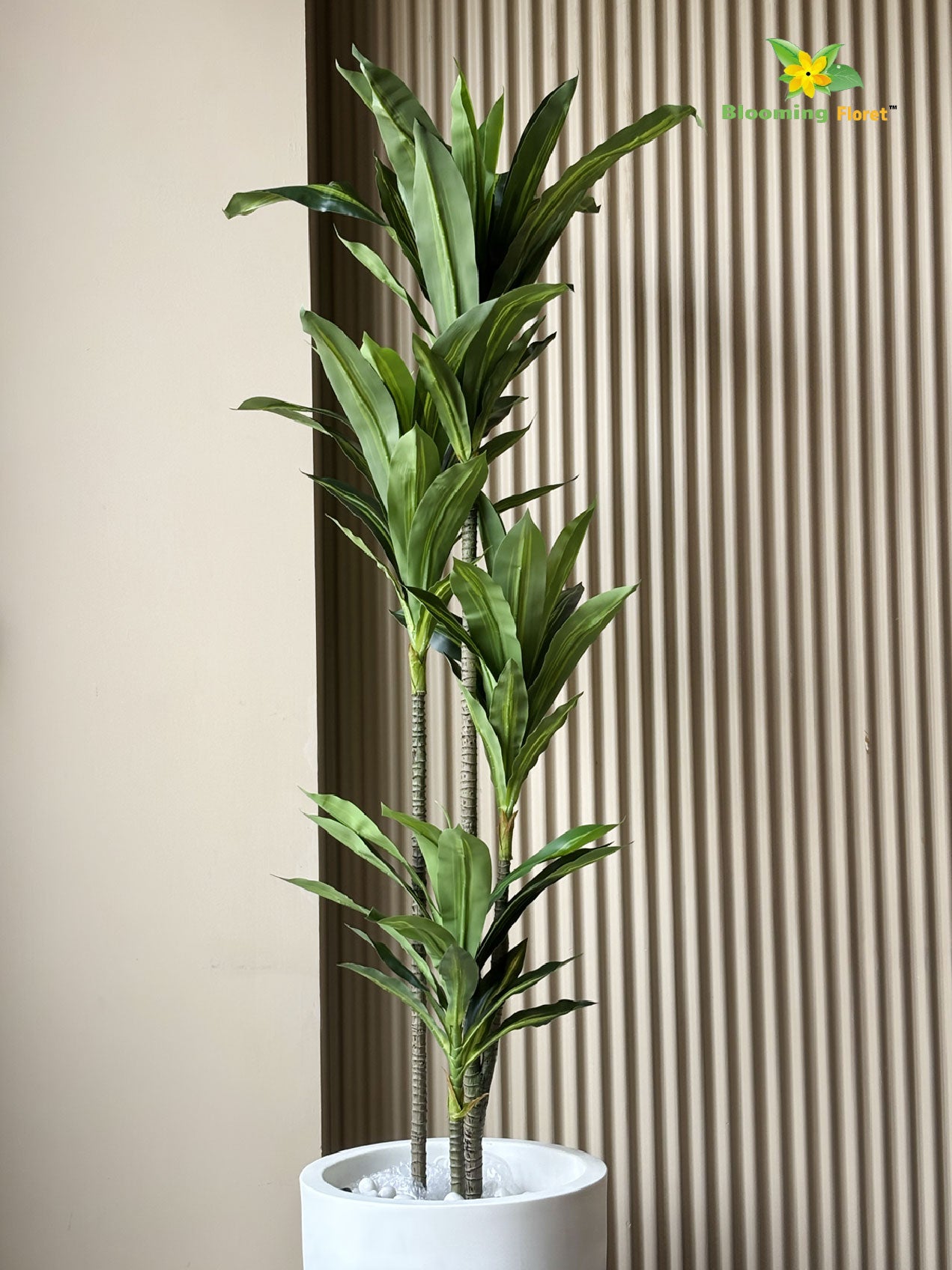 Premium Artificial Dracaena Plant | 140 cm | Green Stem Design | With Basic Pot