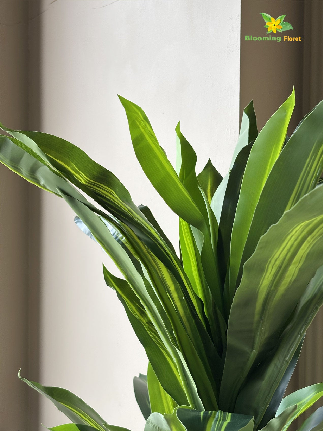 Premium Artificial Dracaena Plant | 140 cm | Green Stem Design | With Basic Pot