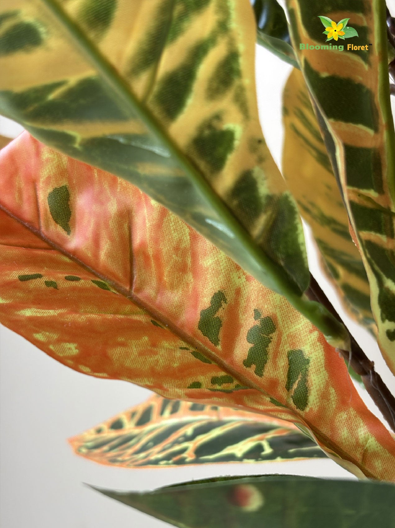 Premium Artificial Croton Plant | 160 cm | Orange-Green Mix Leaves | With Basic Pot