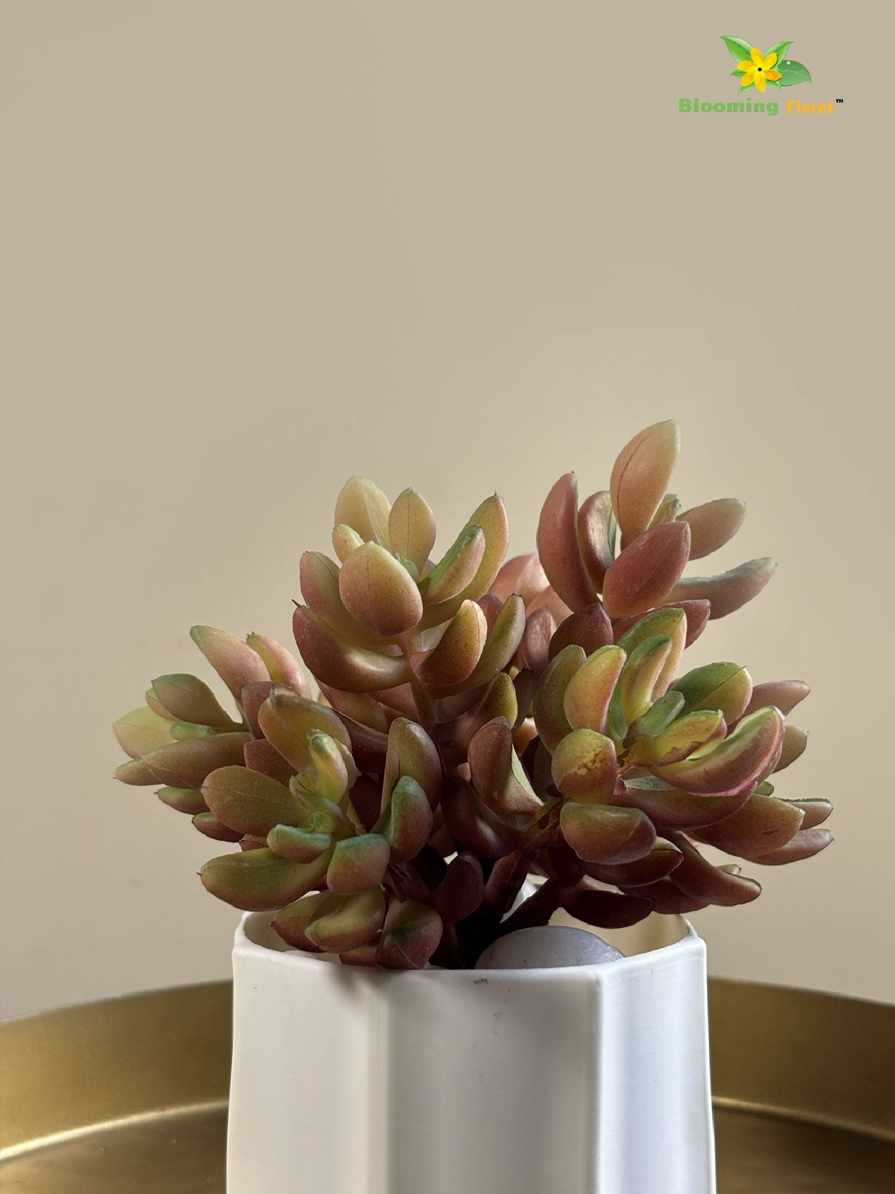 Artificial Bushy Succulent | 13 cm | Red and Green Mix