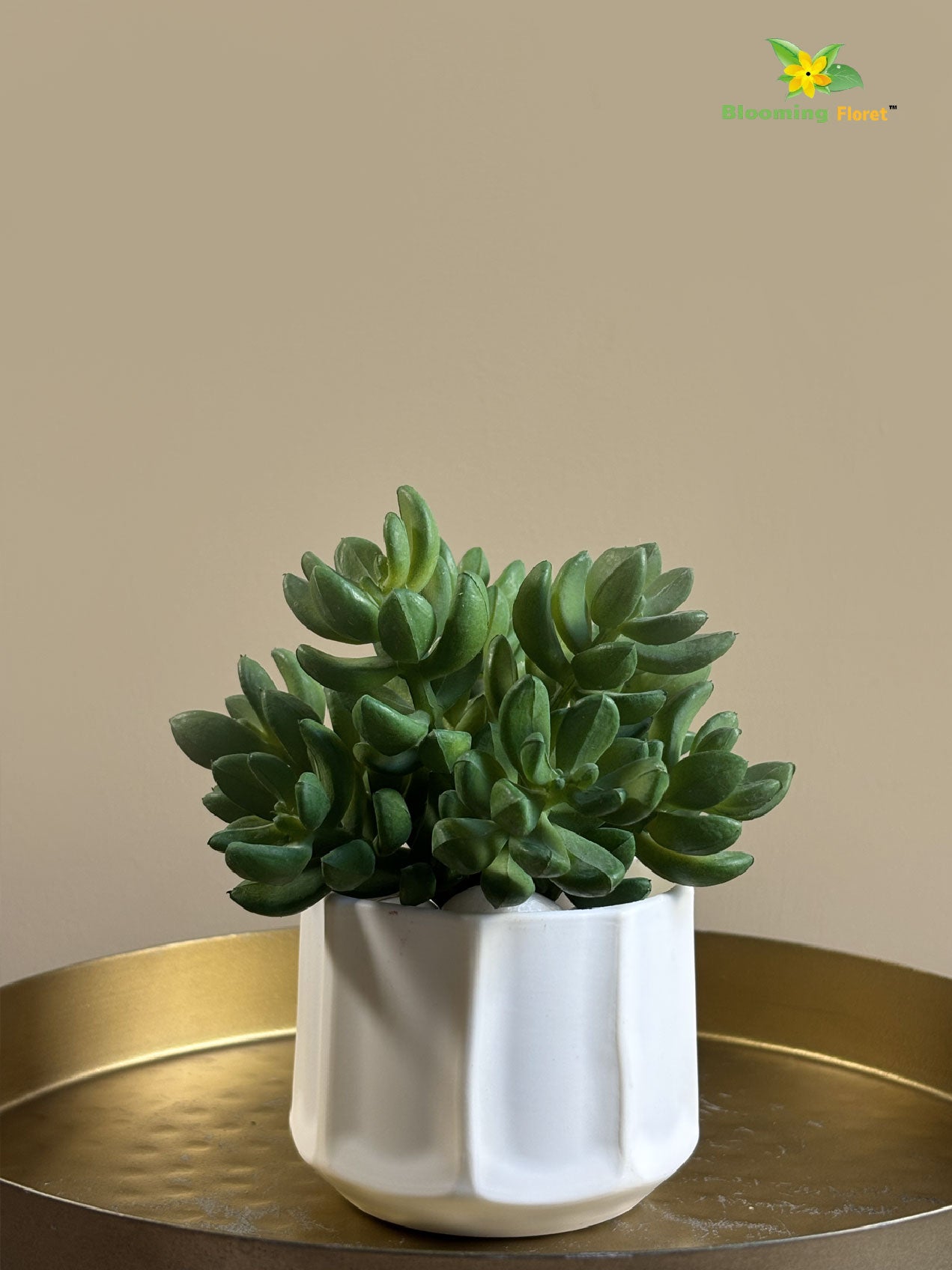 Artificial Bushy Succulent | 13 cm | Dark Green
