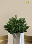 Artificial Bushy Succulent | 13 cm | Dark Green