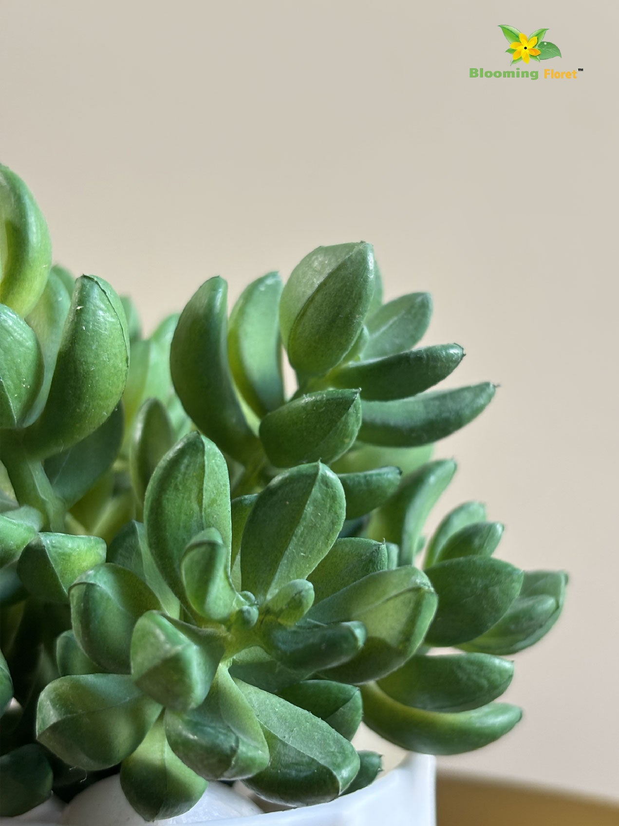 Artificial Bushy Succulent – Dark Green