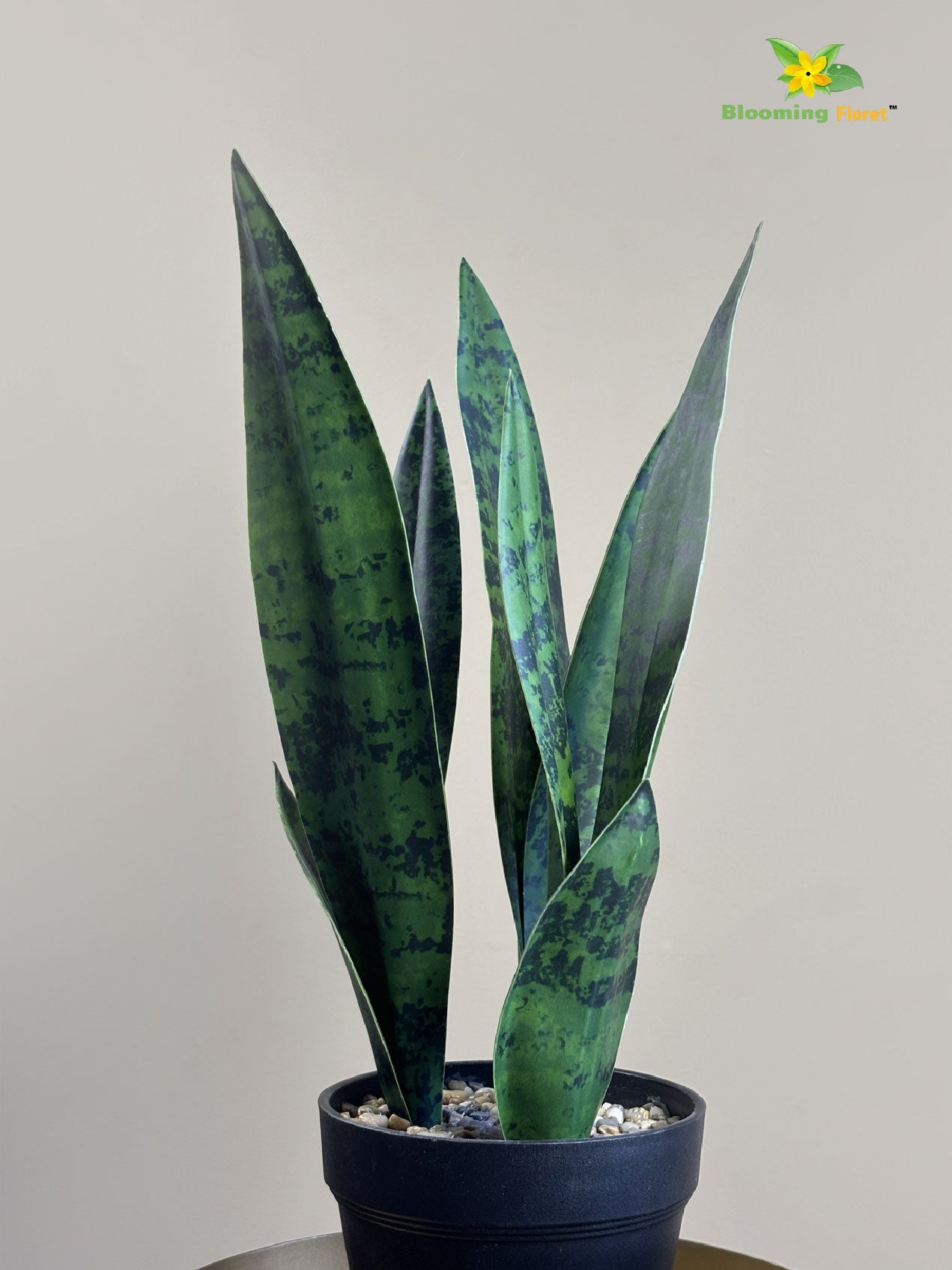 Artificial Snake Plant |37 cm| Dark Green | With Basic Pot