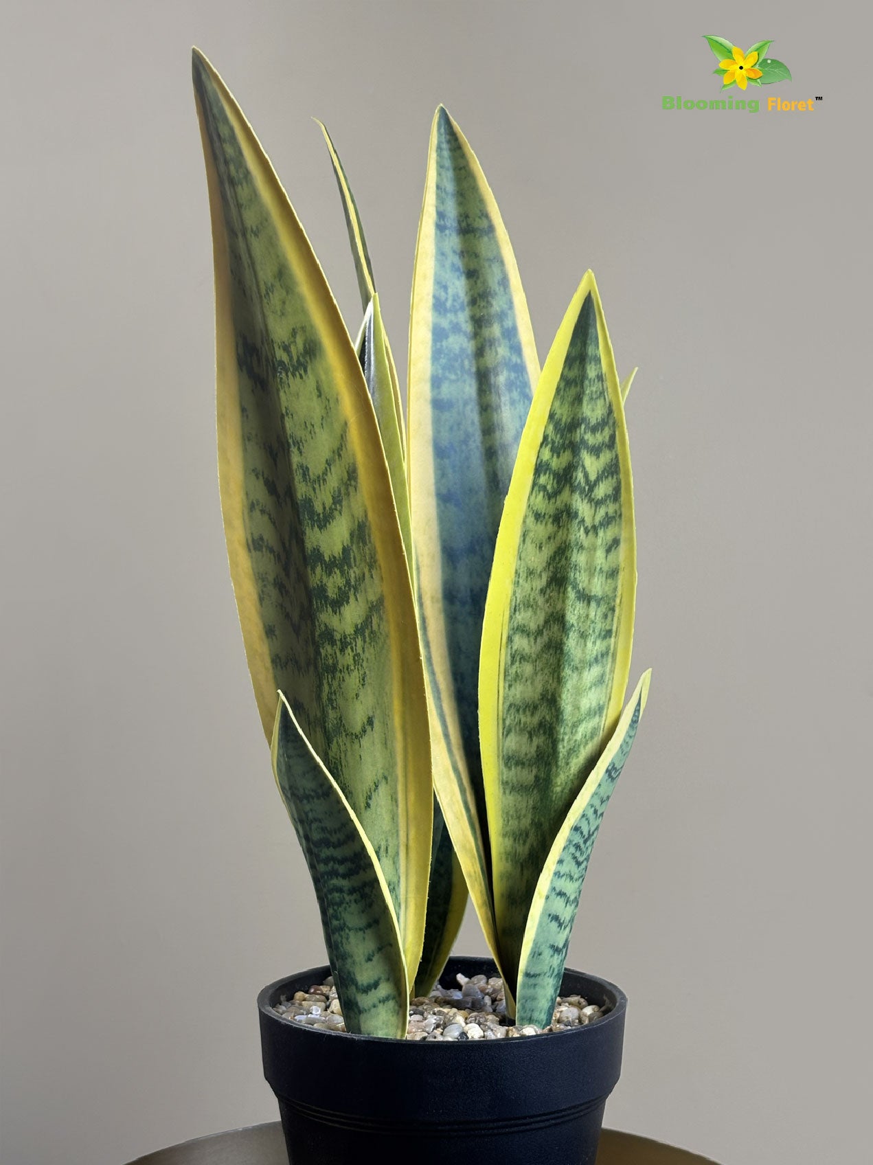 Artificial Snake Plant with Pot – Yellow and Green Mix