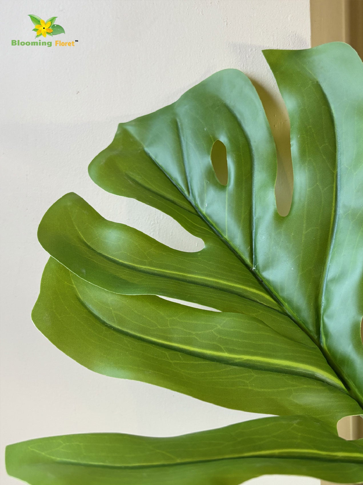 Artificial Monstera Plant | 165 cm | 12 Mix-Green Leaves | With Basic Pot