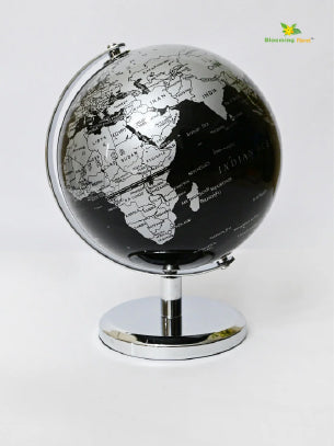 Globe on Metal Stand - Silver+Black