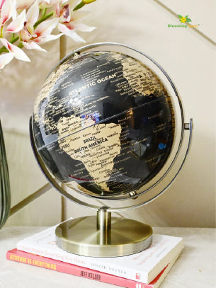 Globe on Metal Stand - Golden+Black