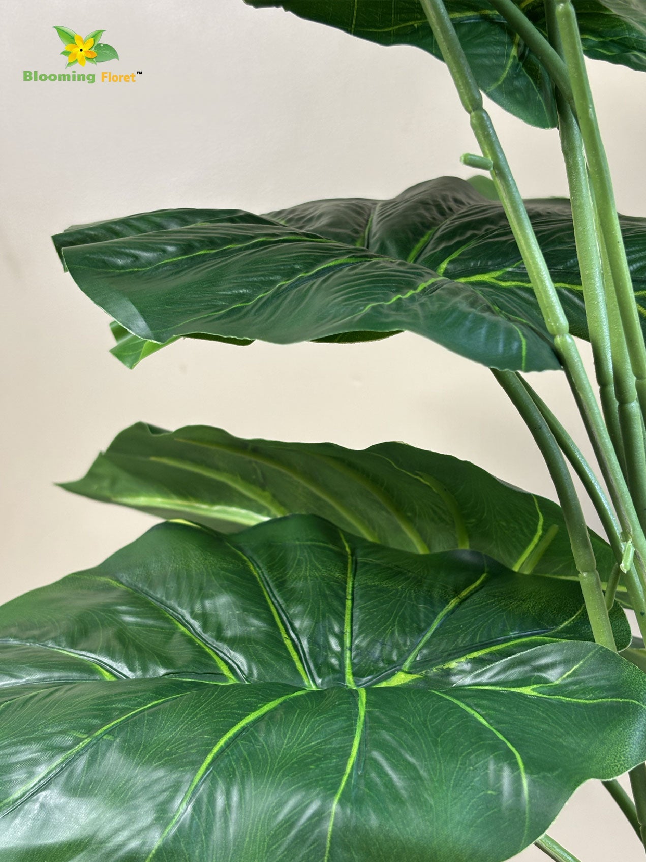 Artificial Dieffenbachia Plant |Green | With Basic Pot