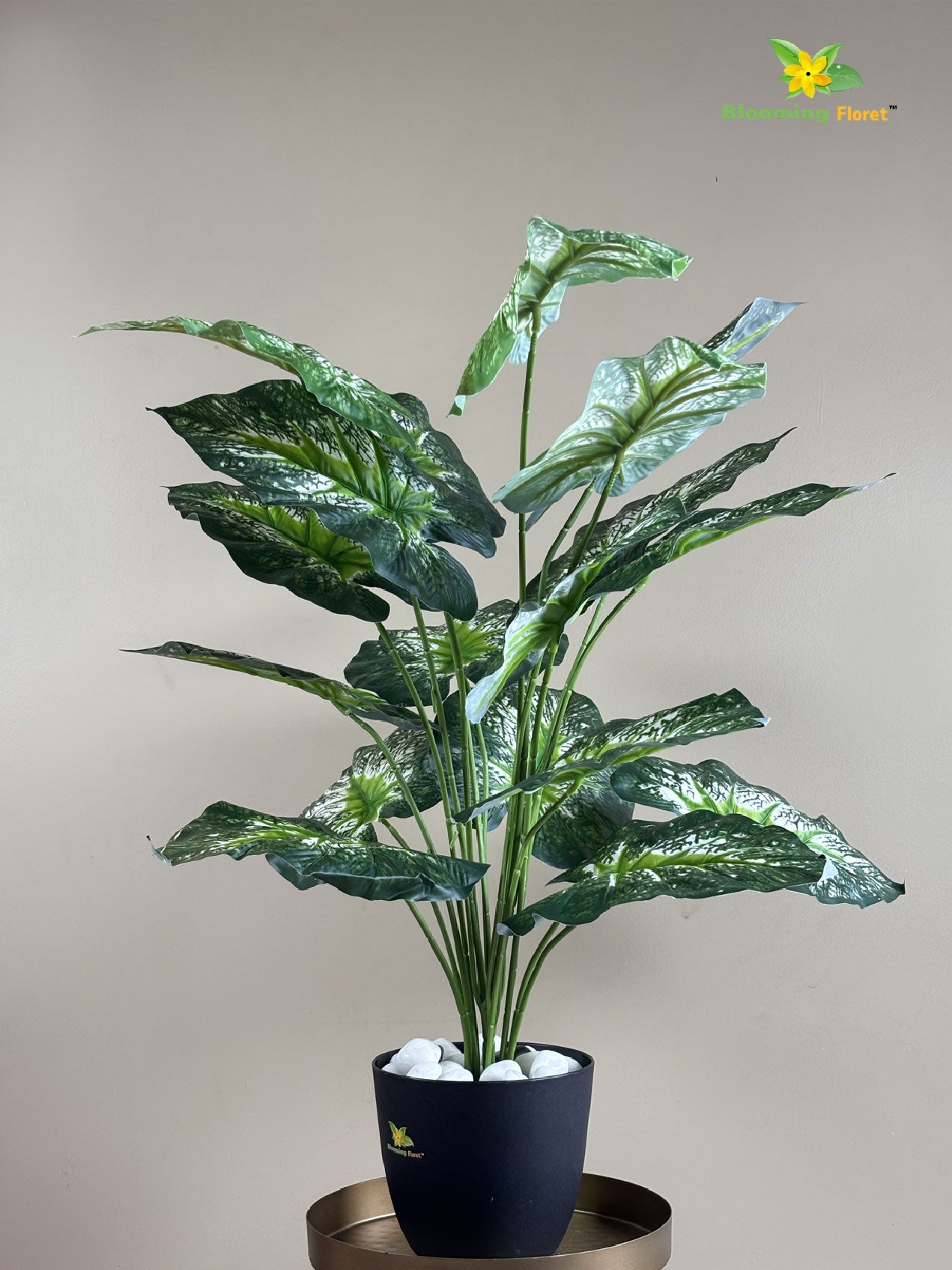 Artificial Dieffenbachia Plant | Green–White Mix | With Basic Pot
