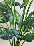 Artificial Dieffenbachia Plant | Green–White Mix | With Basic Pot