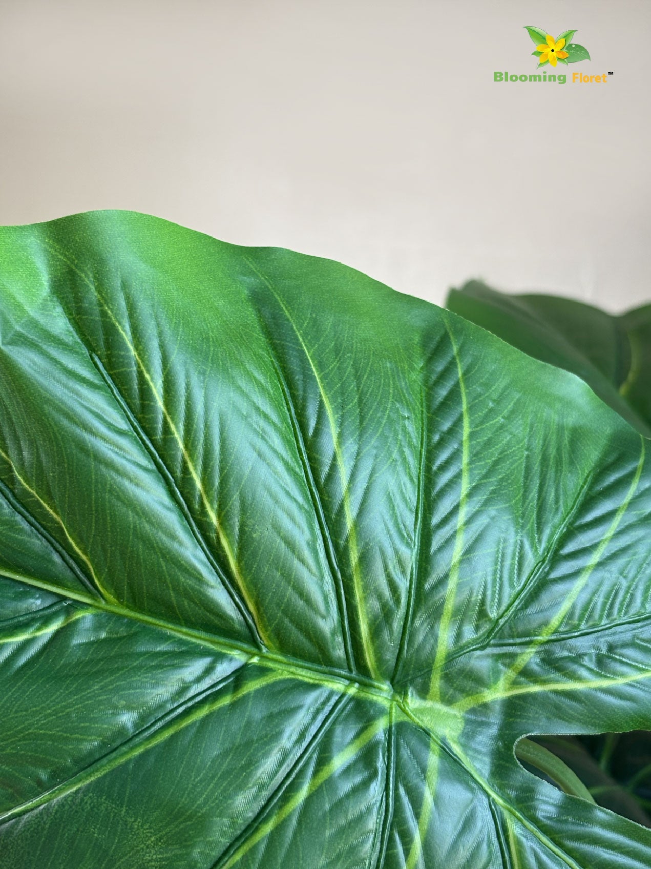 Artificial Dieffenbachia Plant |Green | With Basic Pot