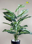Artificial Dieffenbachia Plant | Green–White Mix | With Basic Pot