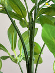 Artificial Schefflera Plant – Light Green