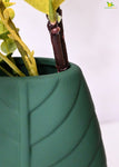 Leaf Impressed Ceramic Vase - Green